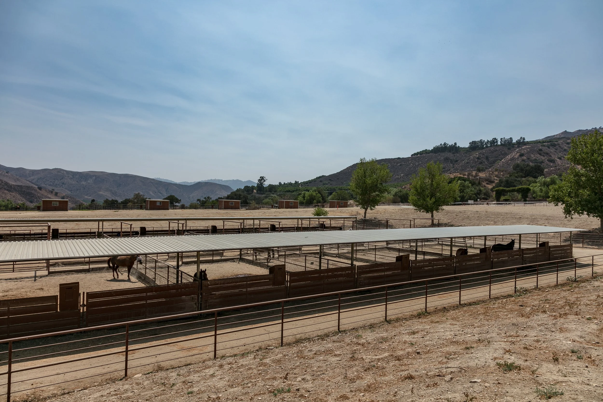 Rancho Temescal - Cattle Ranch - Piru -76.jpg