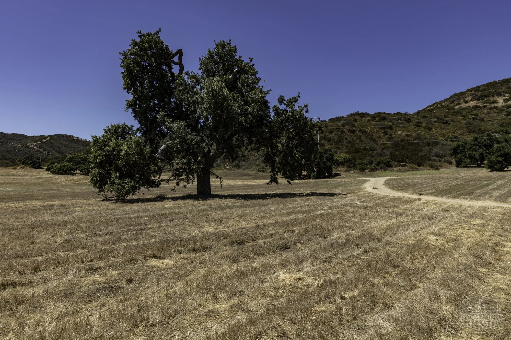 Thorton Ranch Pasture - Ventura Farms -2.jpg