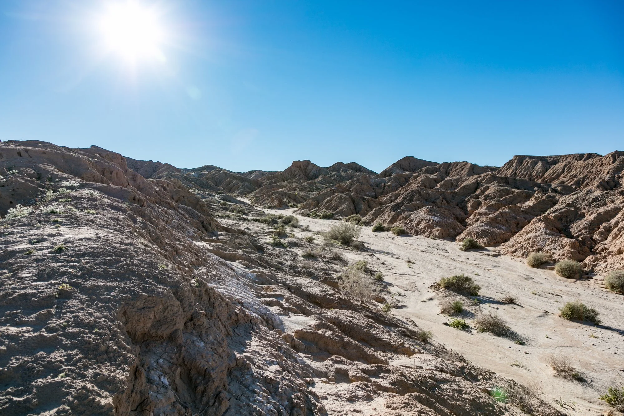 Ntr- Anza Borrego - Badlands - 0219 -25.jpg