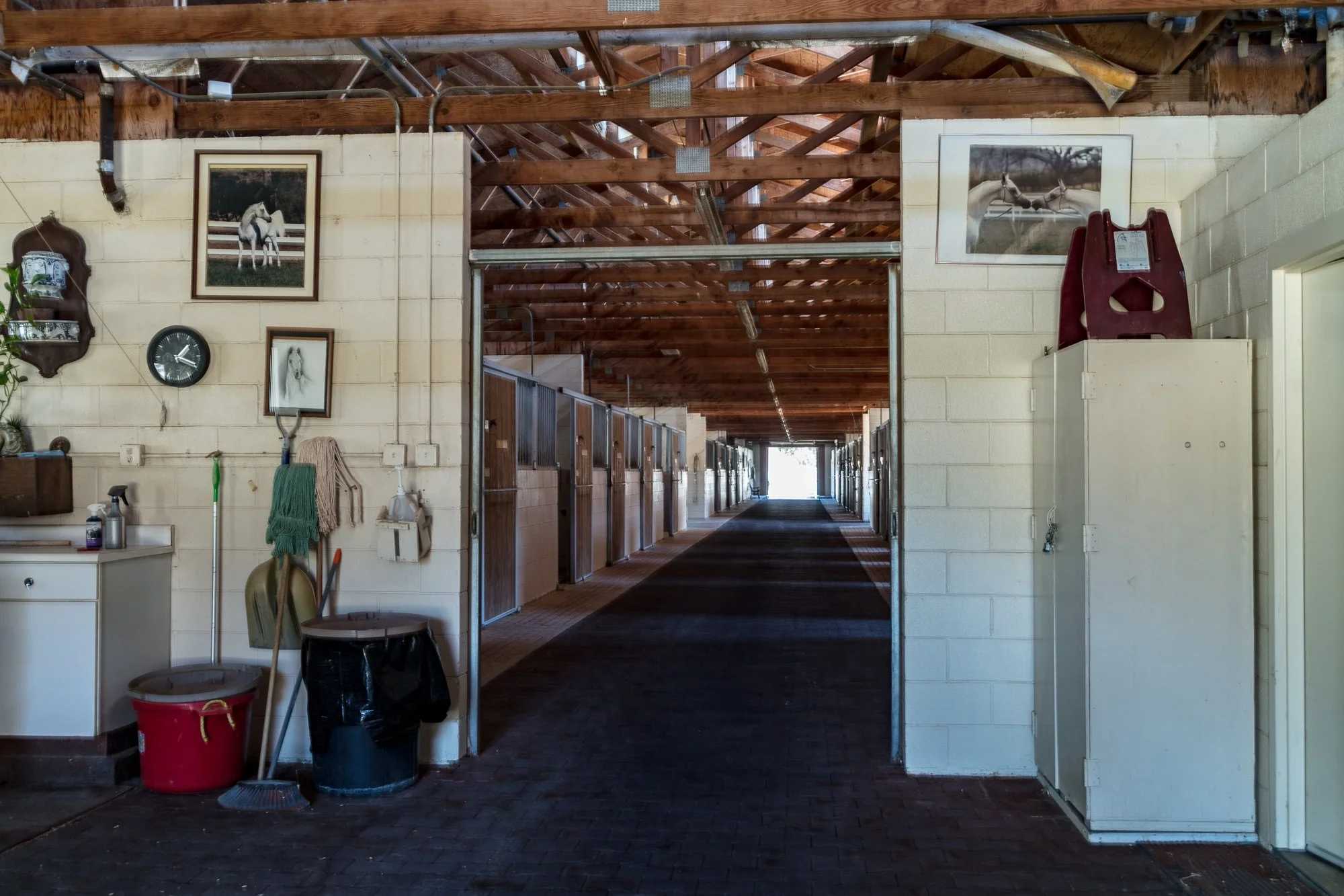 Ventura Farms - Arabian Center -12.jpg