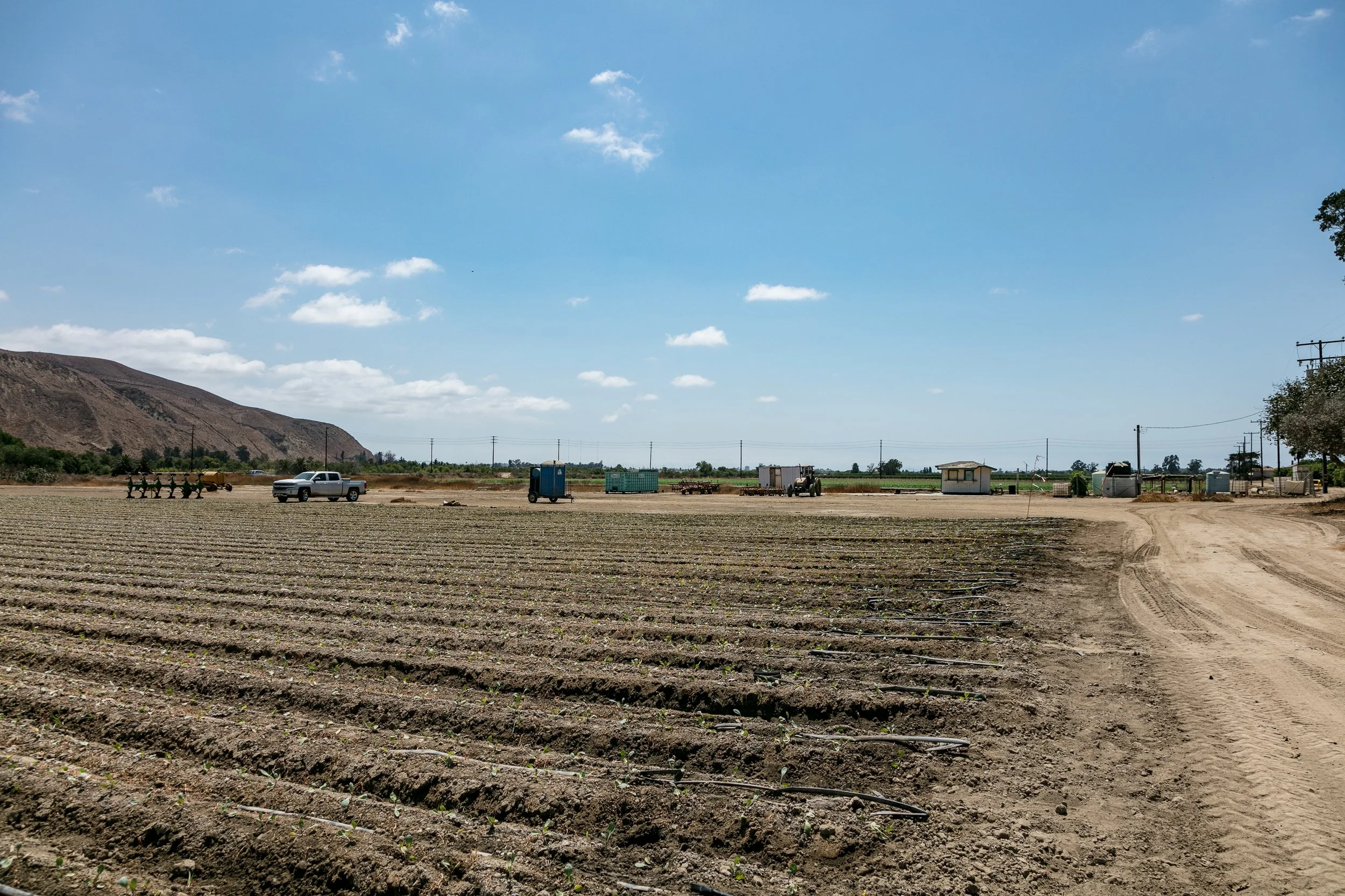 Limoneira Farms - Santa Paula -81.jpg
