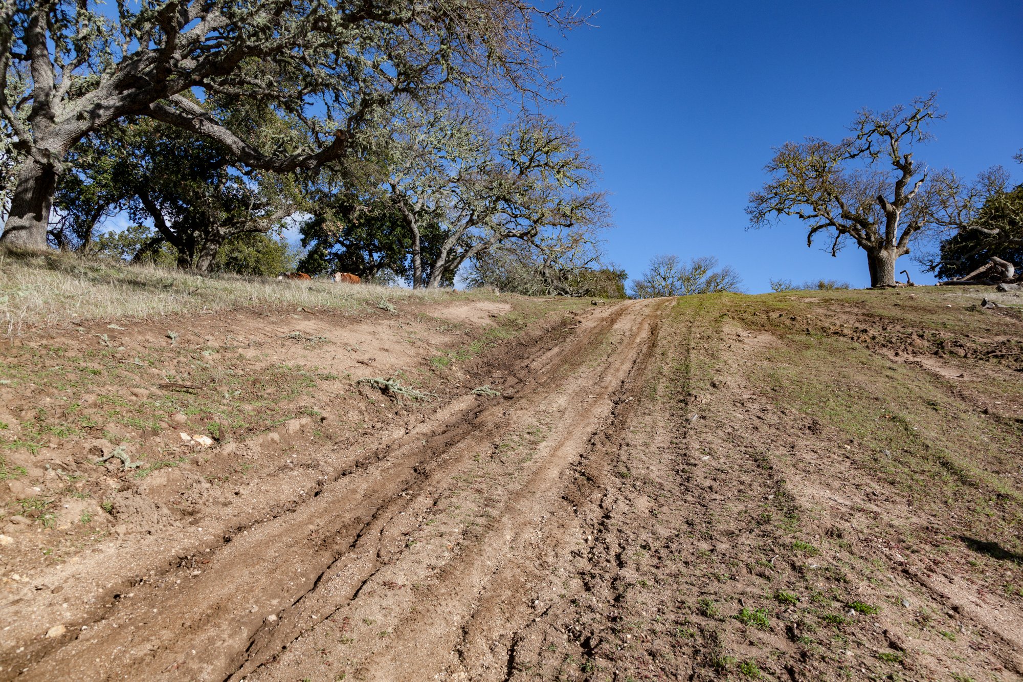 Rnch- Galante Ranch & Vineyards - Carmel Valley - 3.jpg