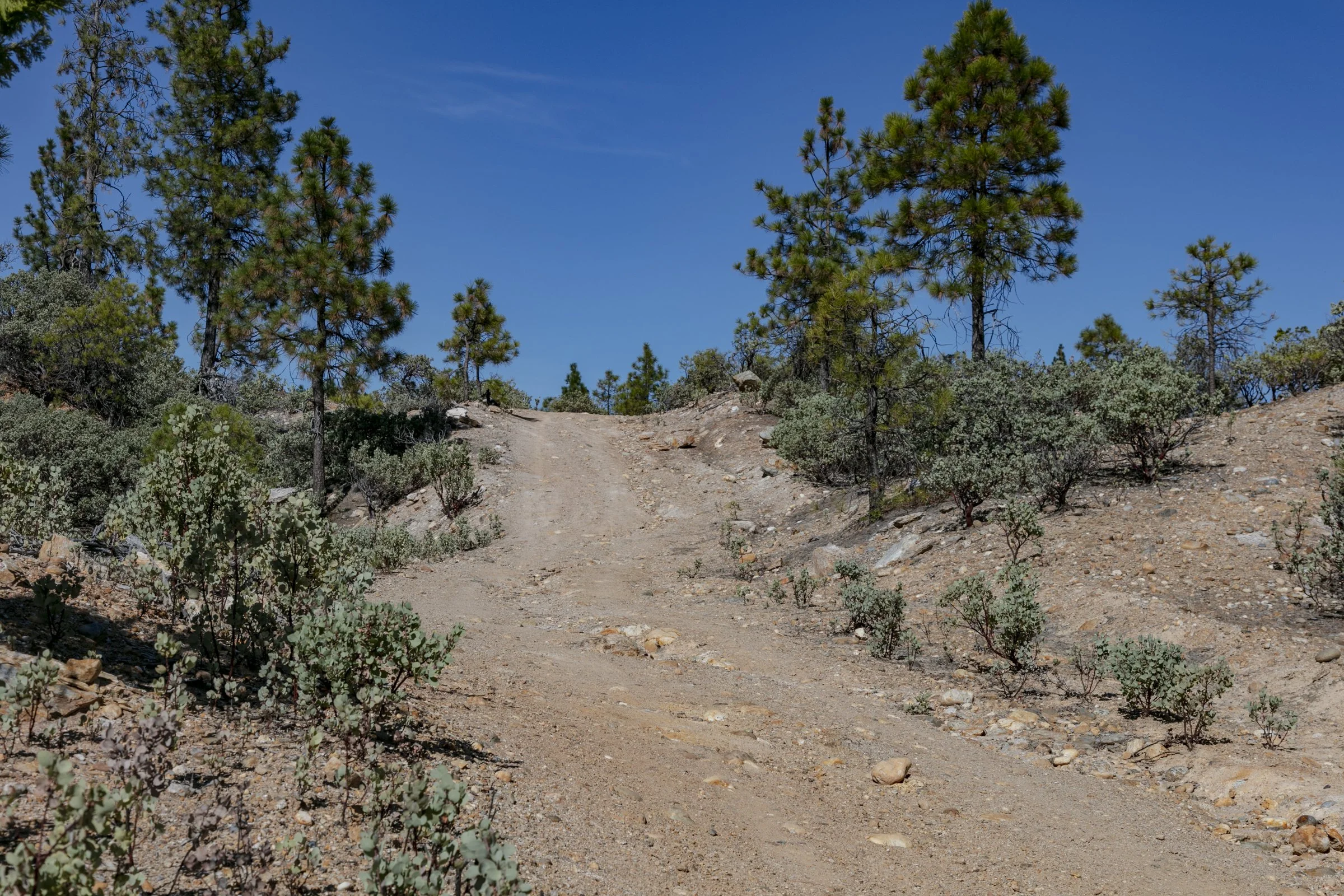 Dirt Rd @ Yankee Jim Rd - Foresthill