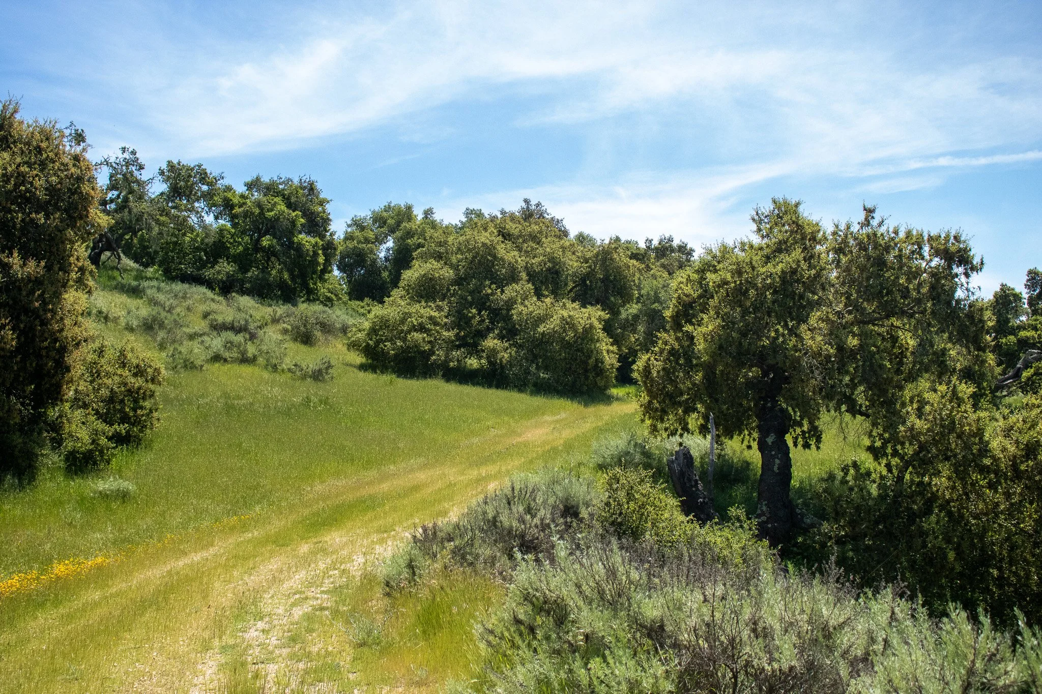 Chamberlin Ranch - Mesa 2