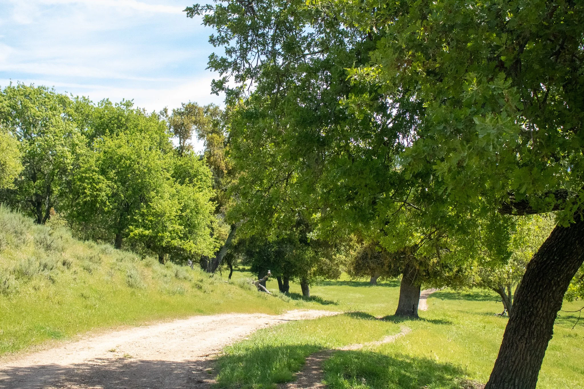 Zaca Ranch - Branding Road