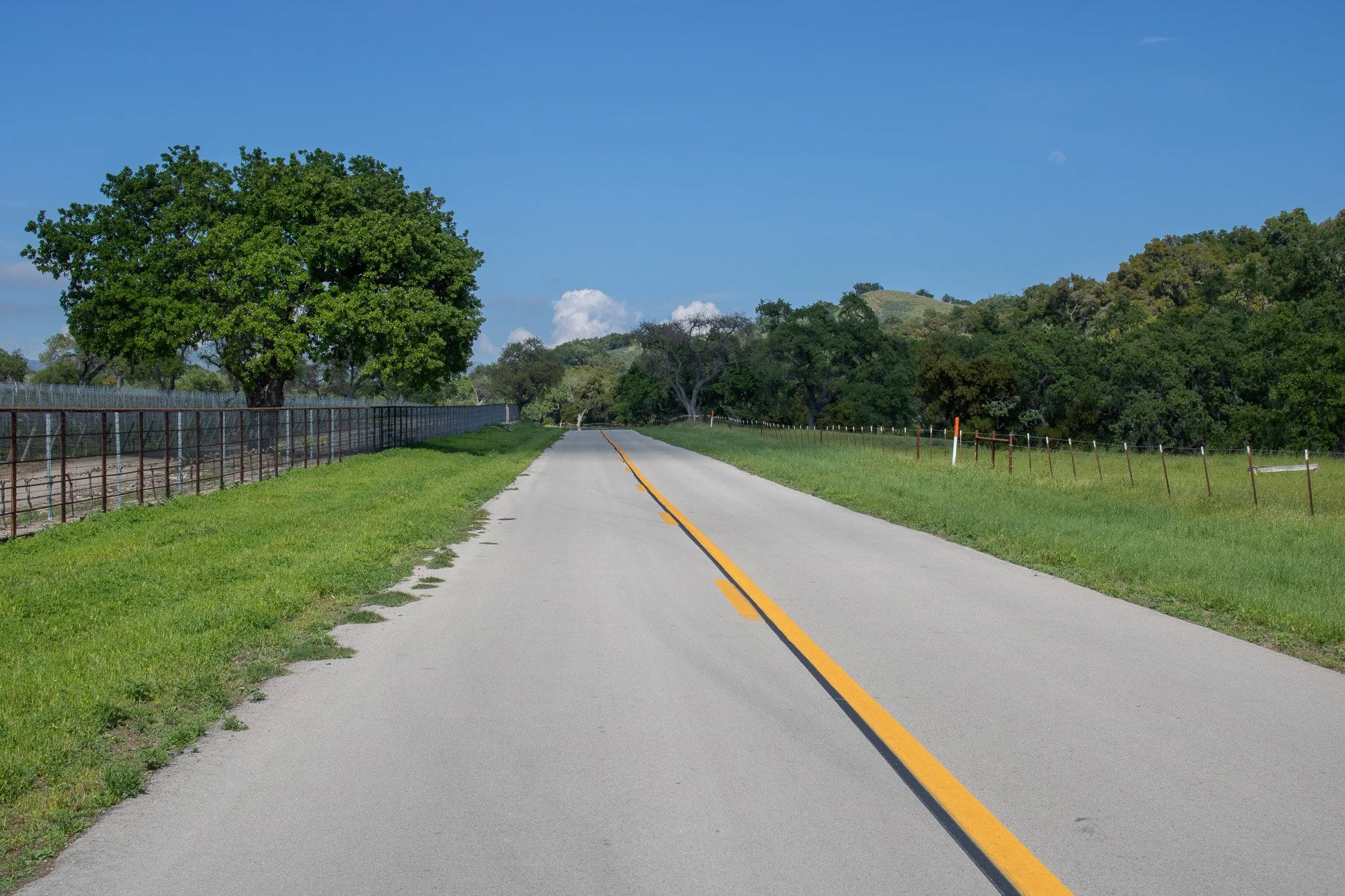 Nolan Ranch - Alisos Cyn Rd - Los Olivos - 041824