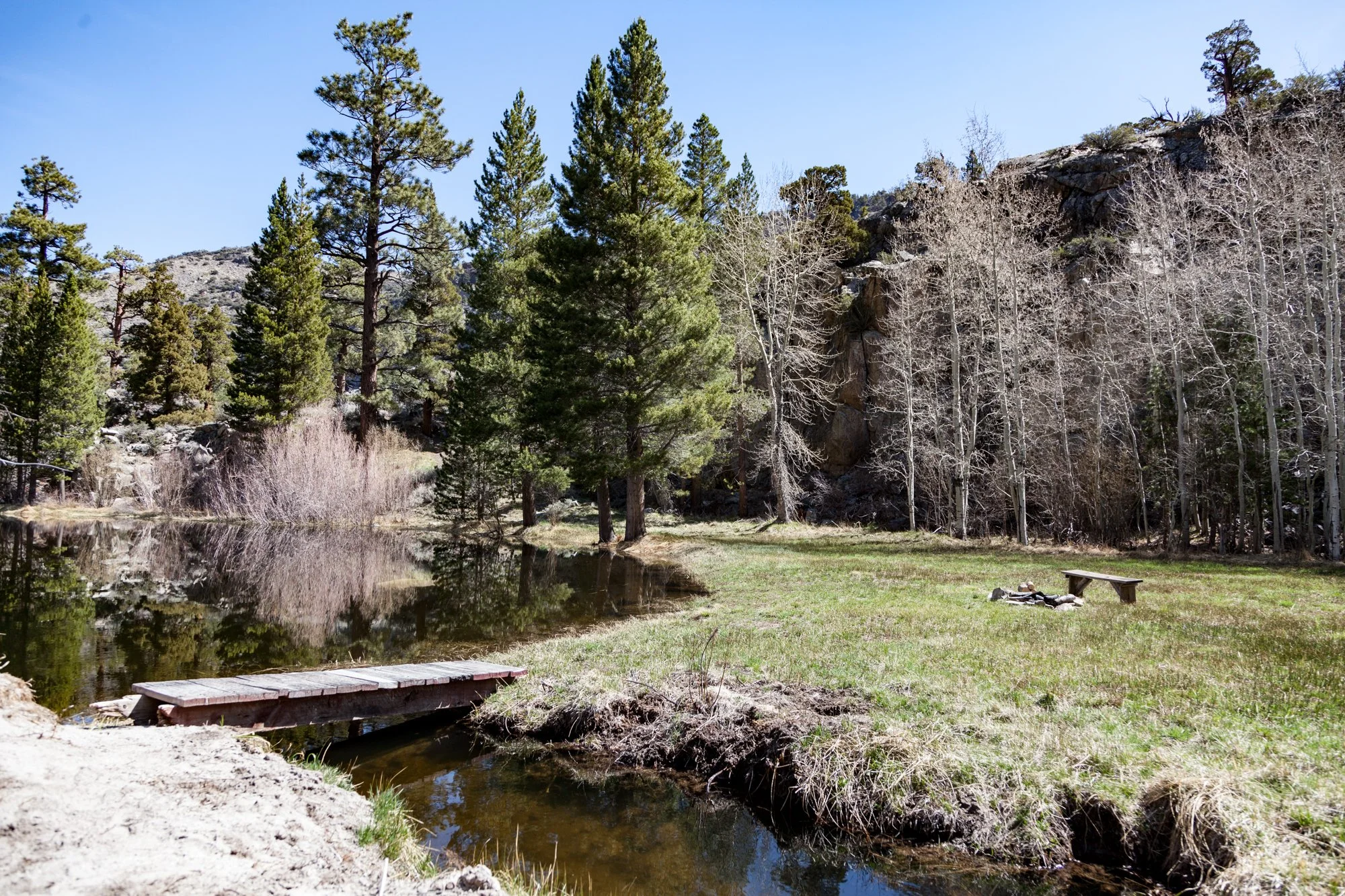 Ntr- Blacks Pond & Meadow - June Lake -14.jpg