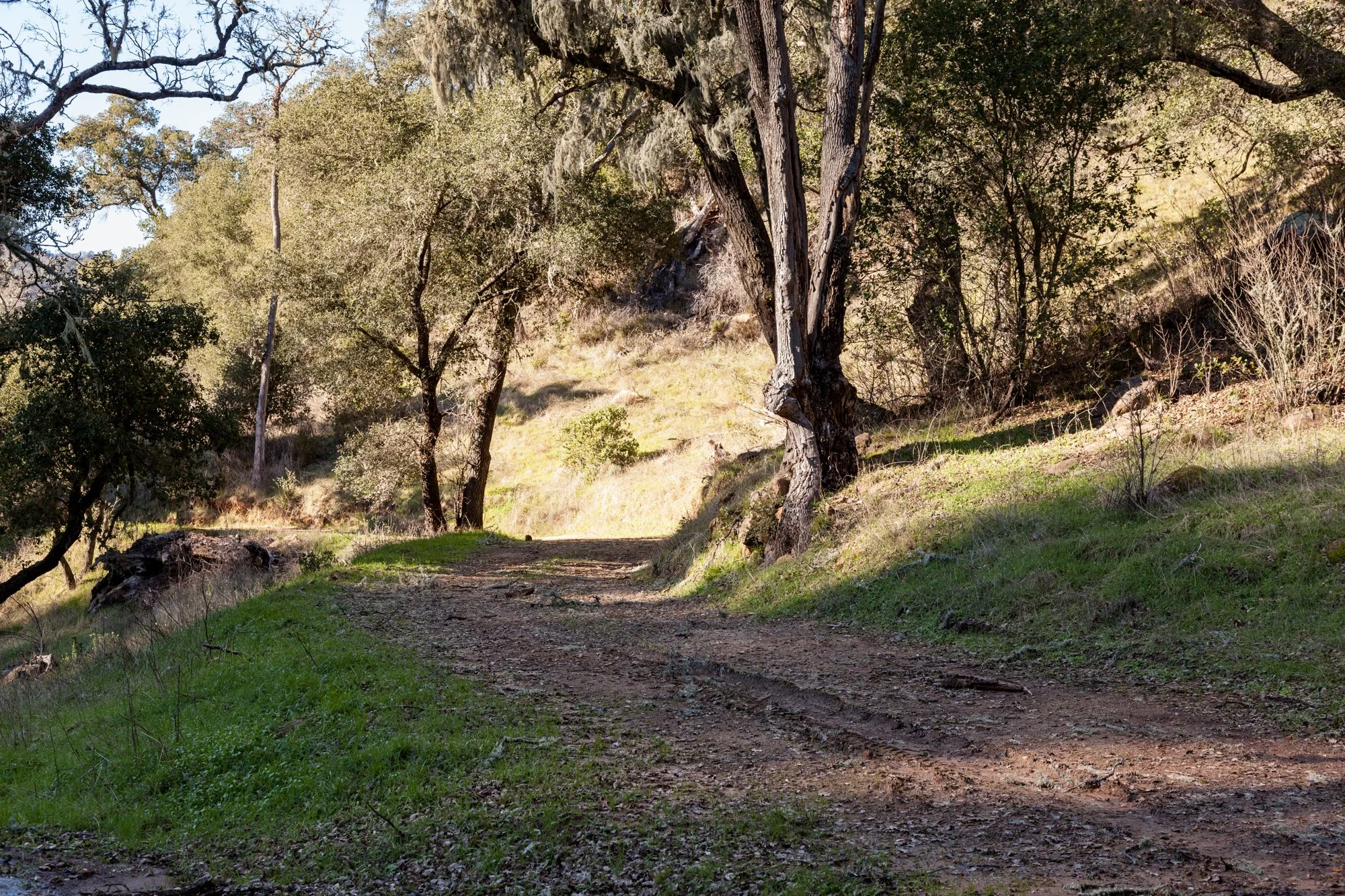 Rnch- Santa Margarita Ranch - 73.jpg
