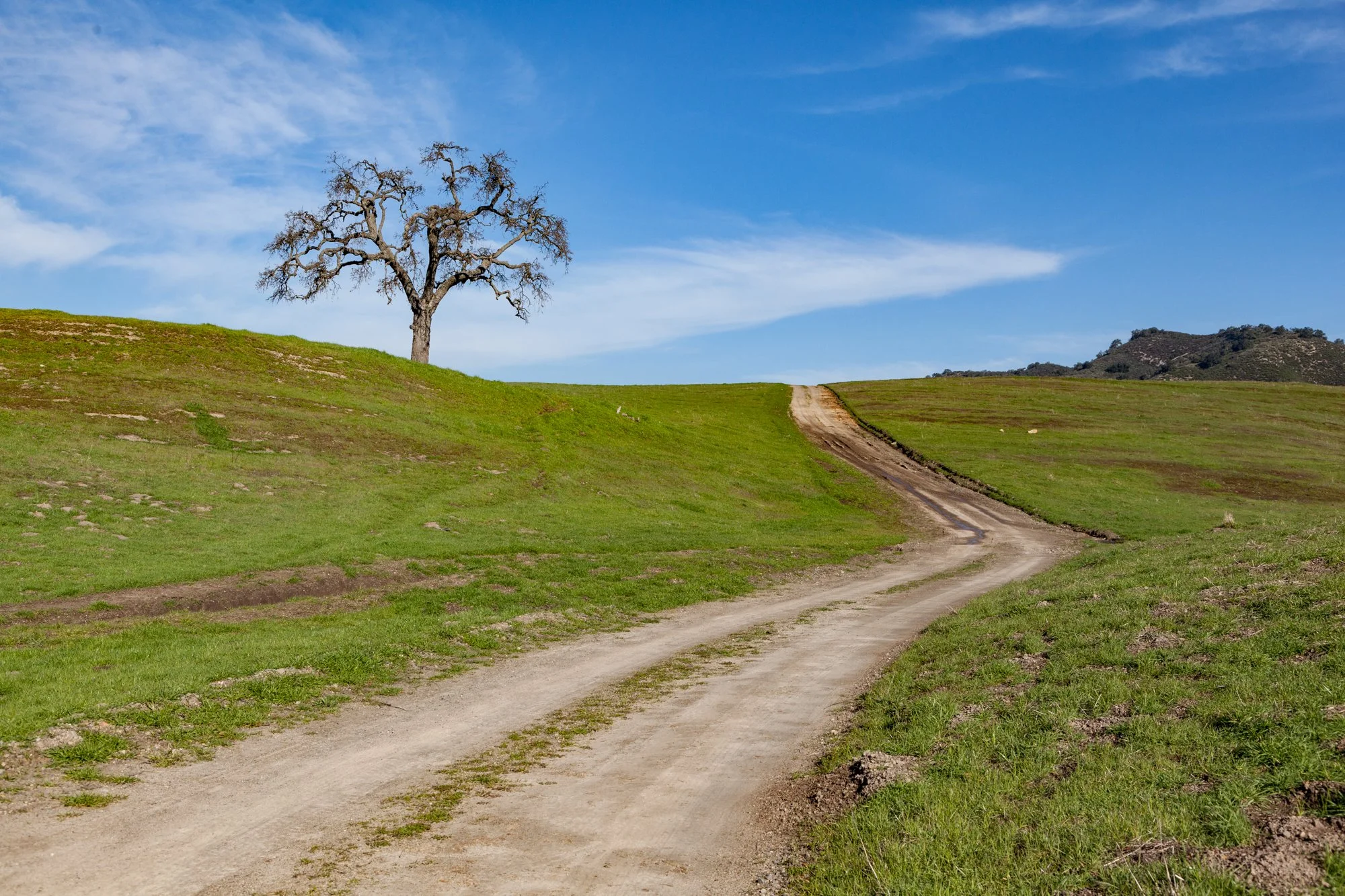Rnch- Porter Ranch - Santa Maria - 19.jpg