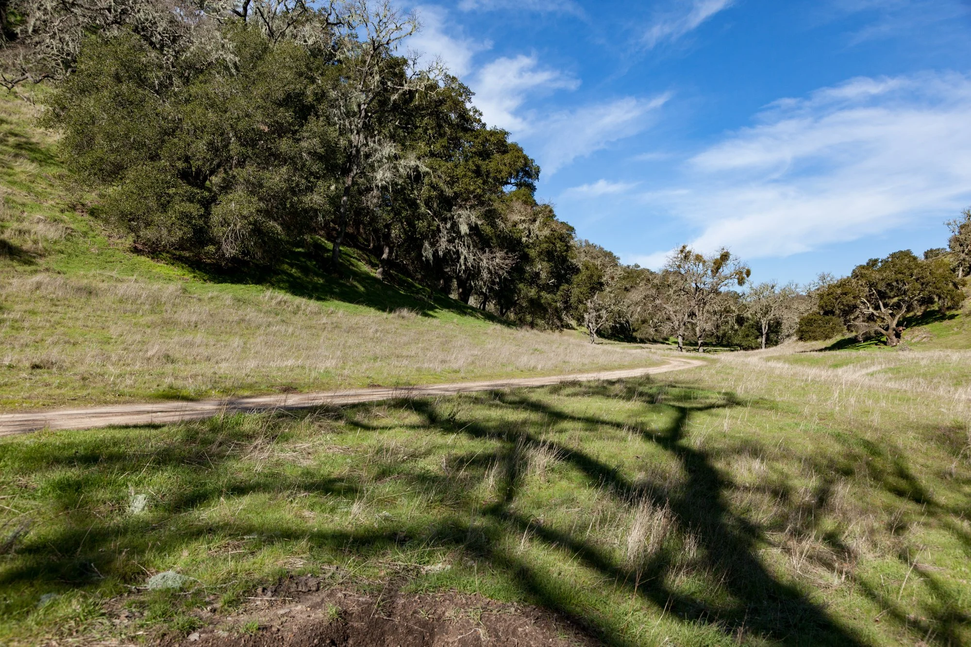 Rnch- Porter Ranch - Santa Maria - 41.jpg