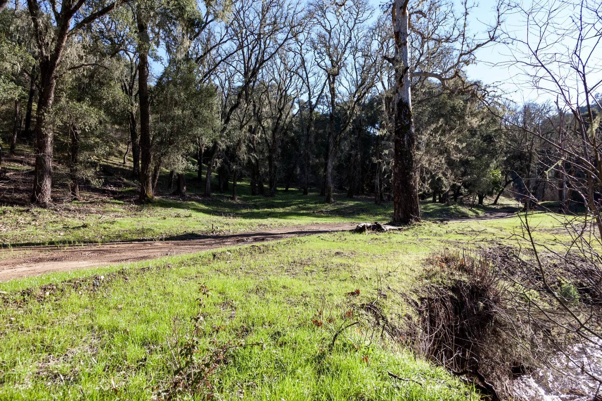 Rnch- Santa Margarita Ranch - 69.jpg