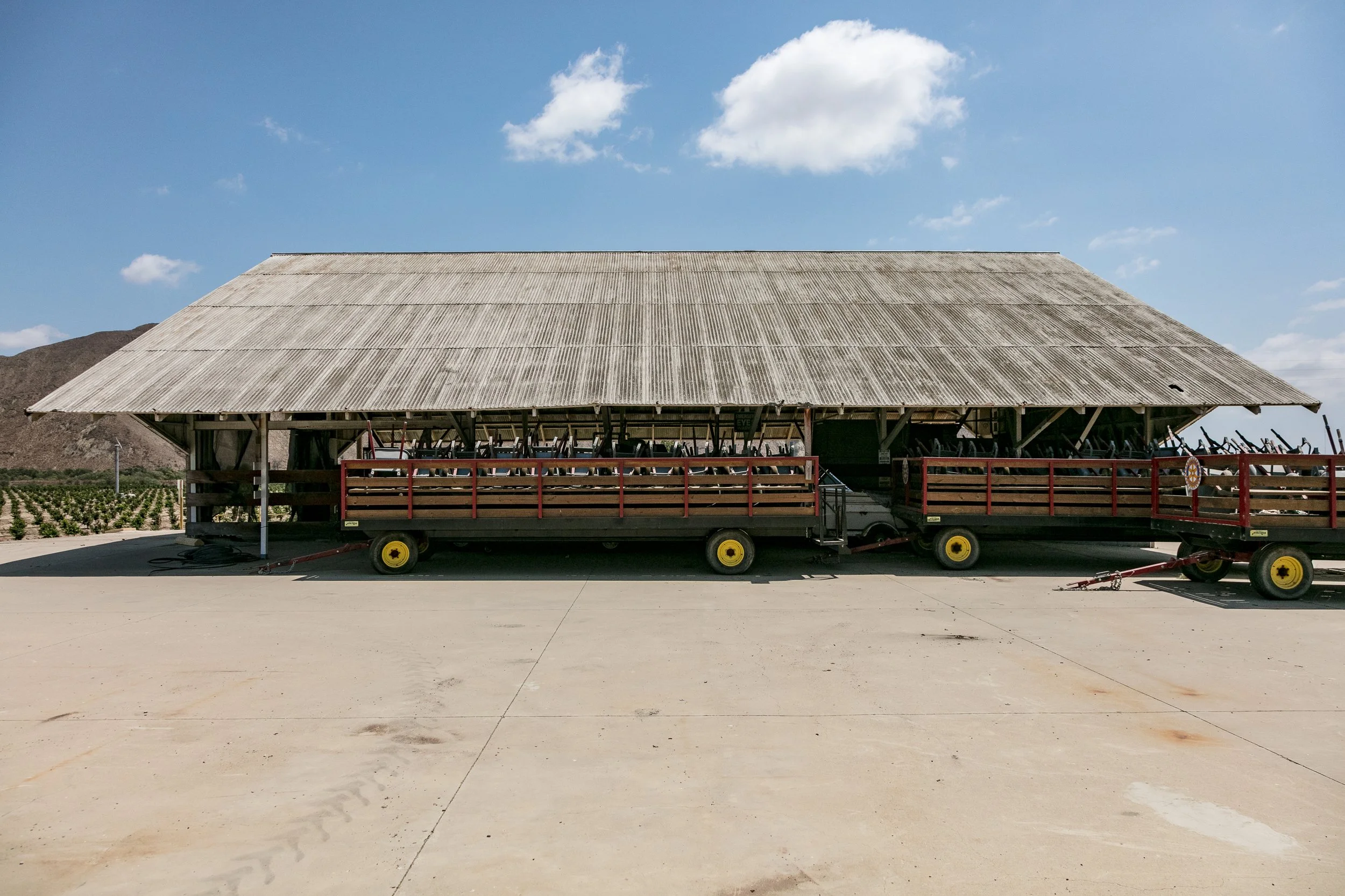 Limoneira Farms - Santa Paula -72.jpg