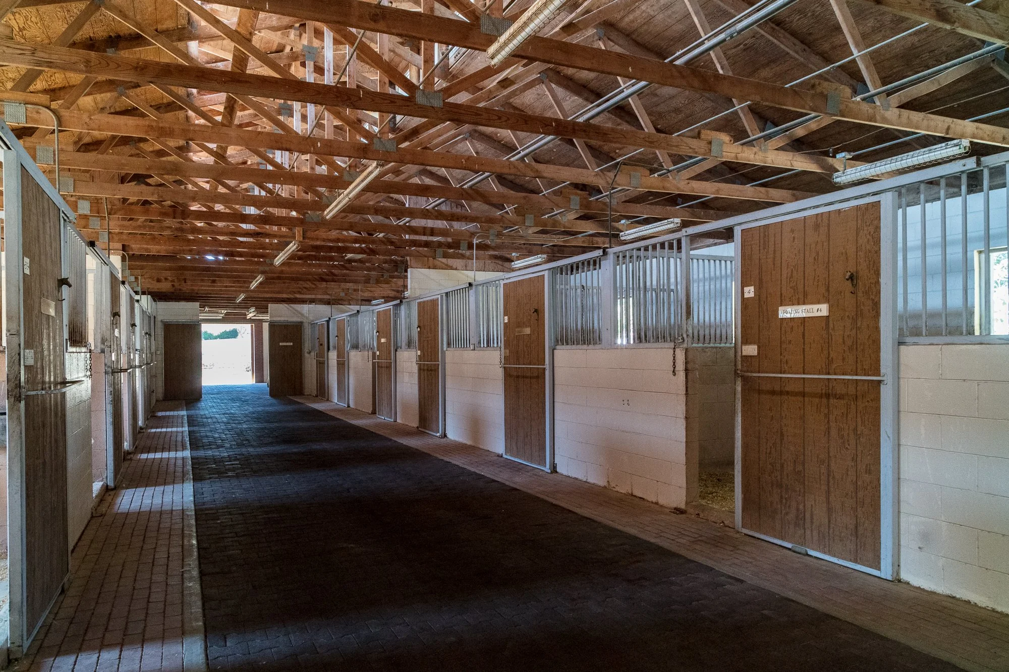 Ventura Farms - Arabian Center -7.jpg