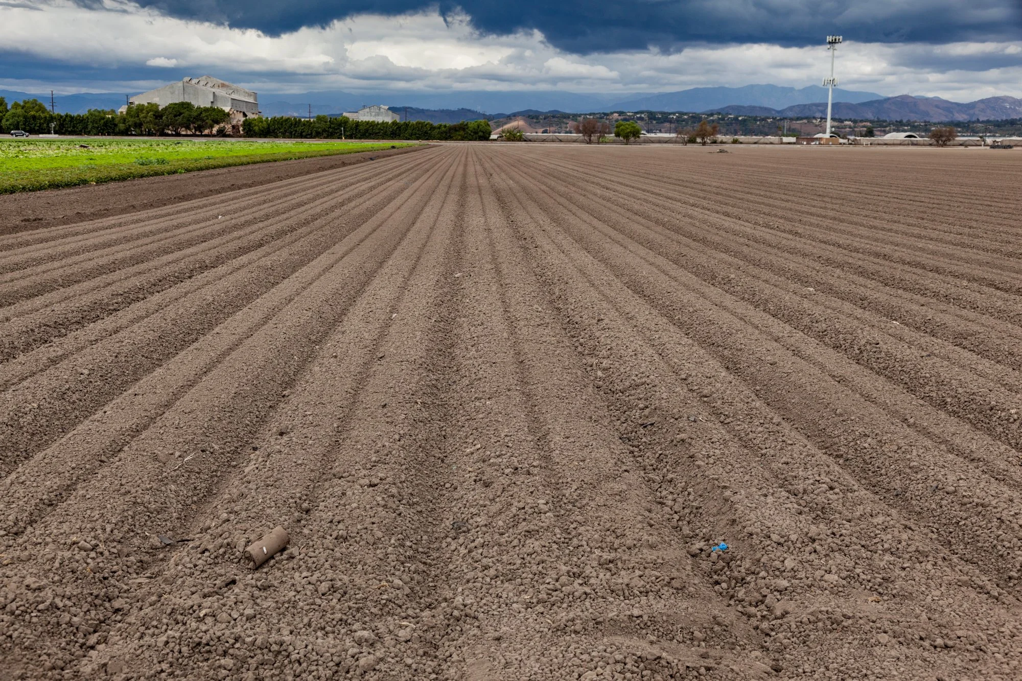 Farm- Uesugi Farms - Camarillo - 69.jpg
