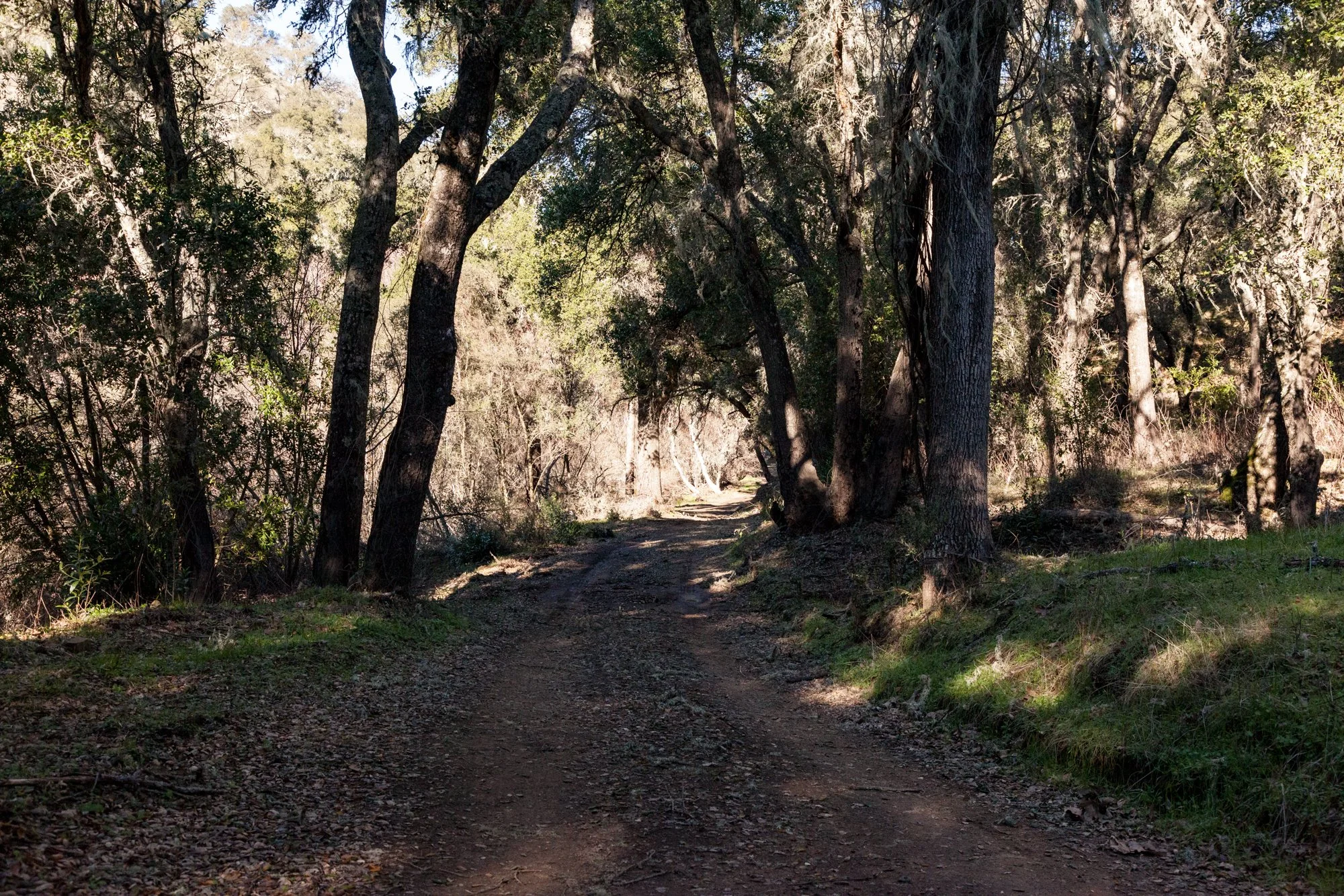 Rnch- Santa Margarita Ranch - 61.jpg