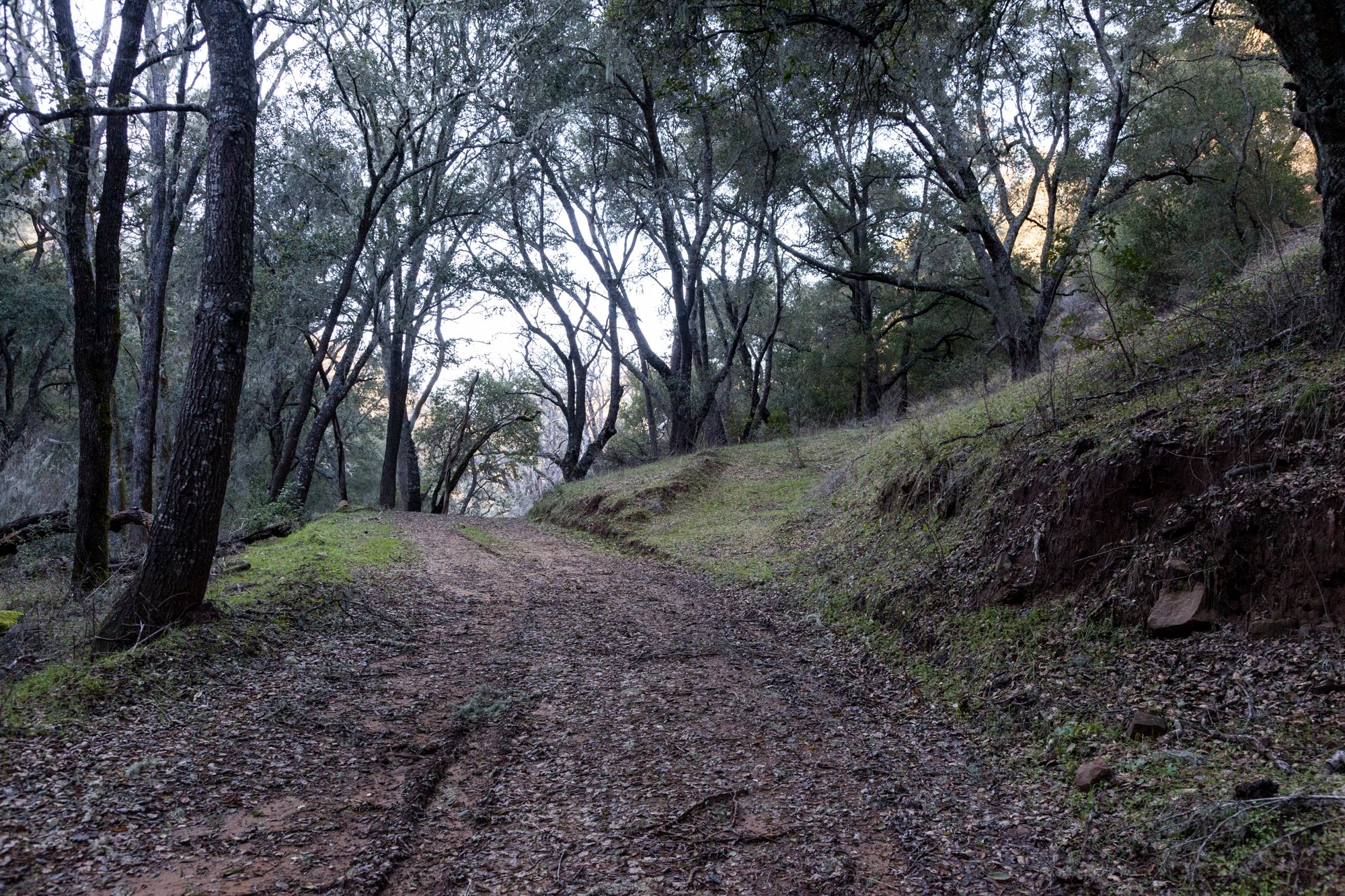 Rnch- Santa Margarita Ranch - 81.jpg