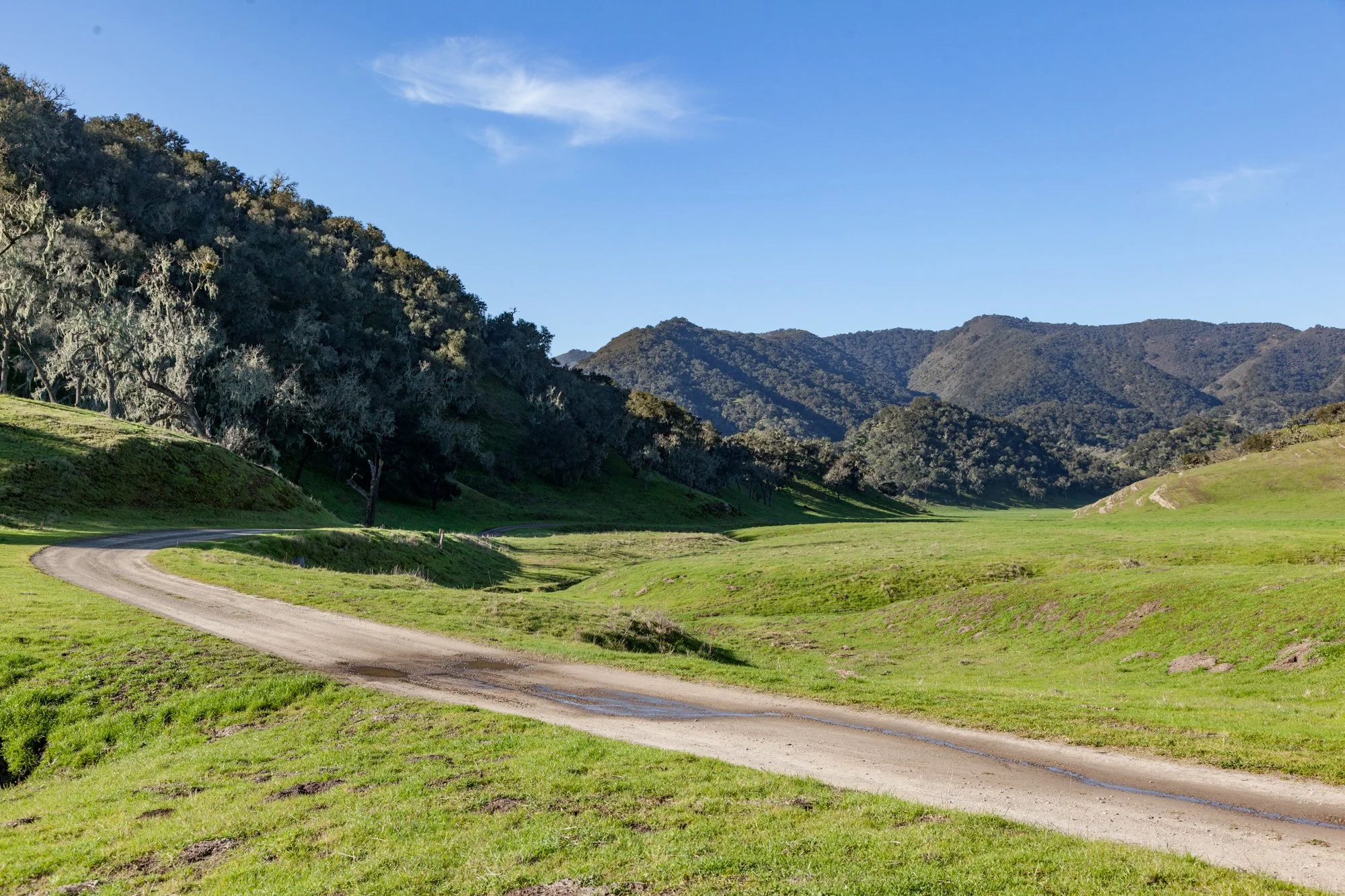 Rnch- Porter Ranch - Santa Maria - 1.jpg