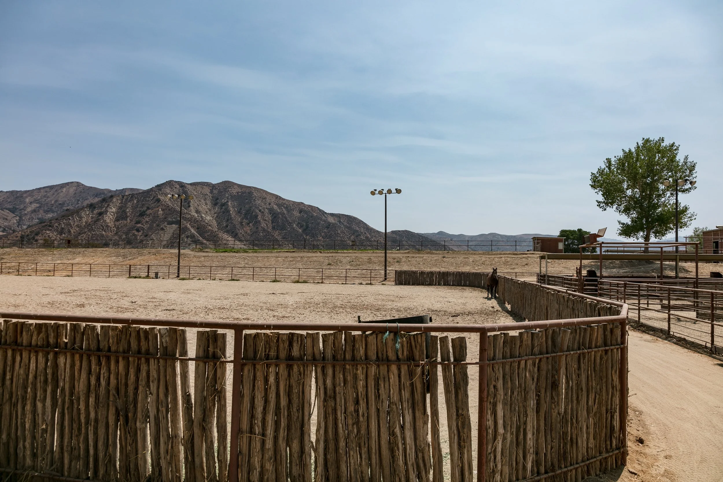 Rancho Temescal - Cattle Ranch - Piru -64.jpg