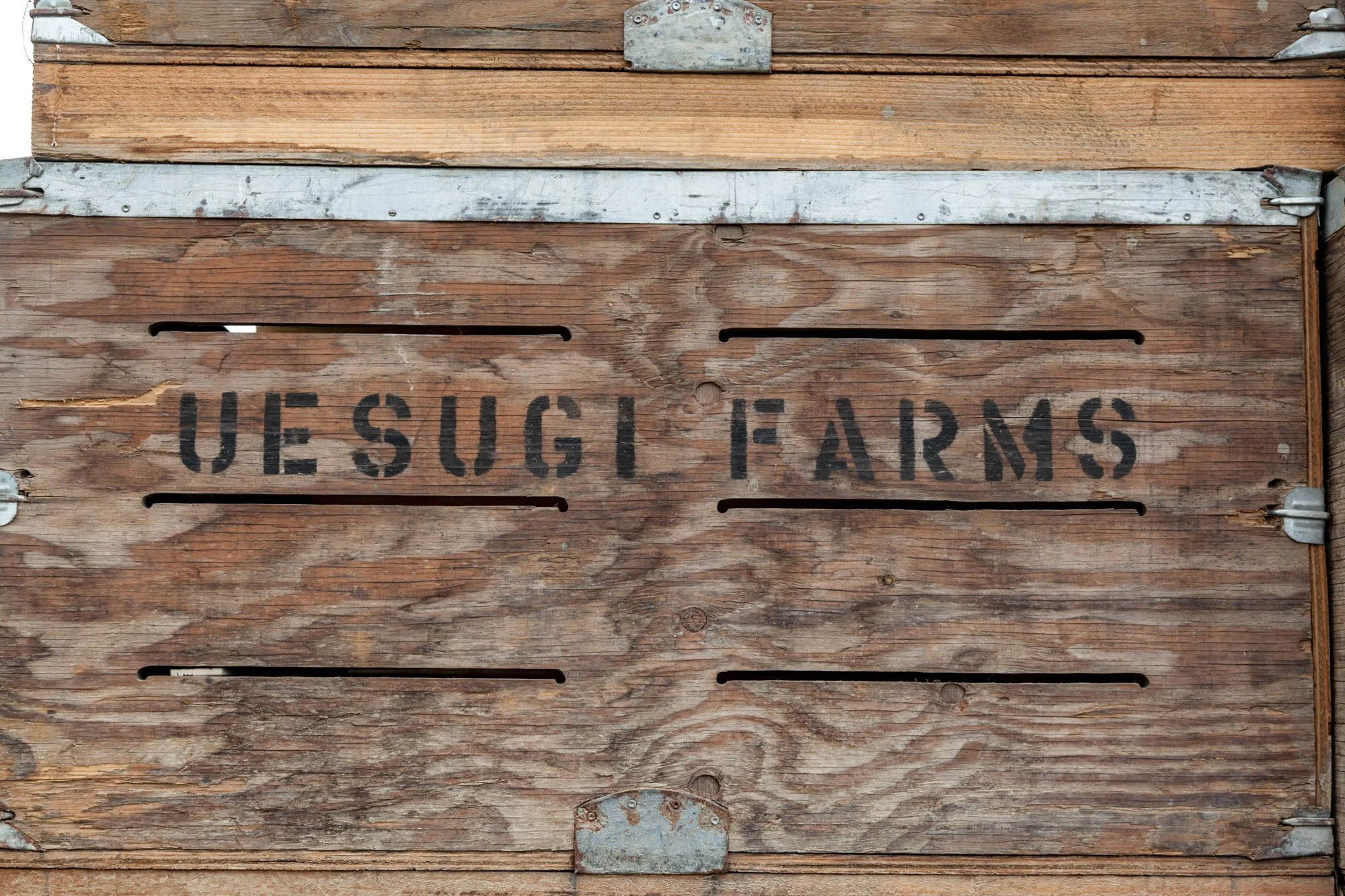 Farm- Uesugi Farms - Camarillo - 61.jpg