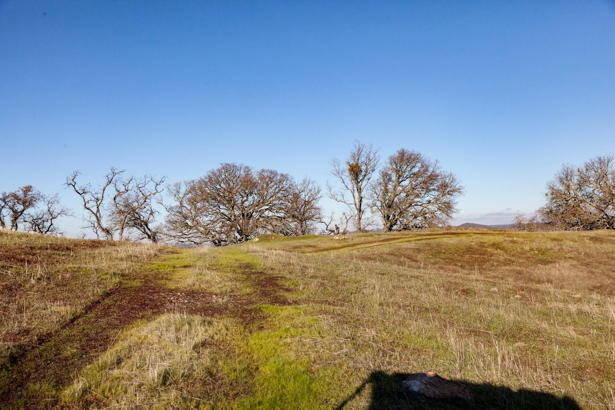 Rnch- Santa Margarita Ranch - 88.jpg
