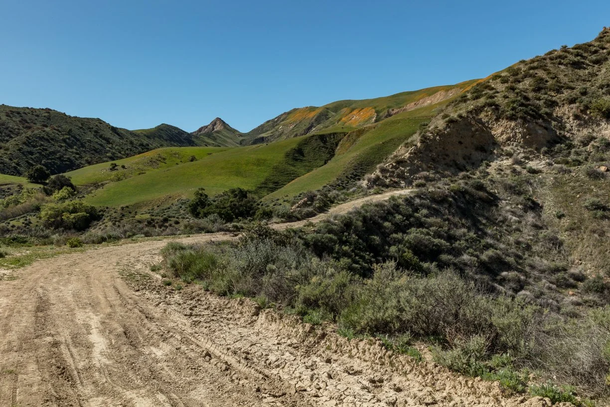 Rancho Temescal - West Ridge - Piru -23.jpg