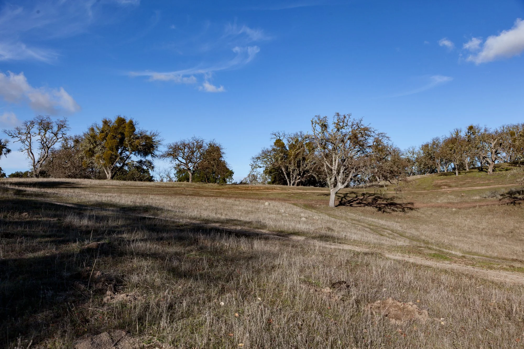 Rnch- Galante Ranch & Vineyards - Carmel Valley - 27.jpg