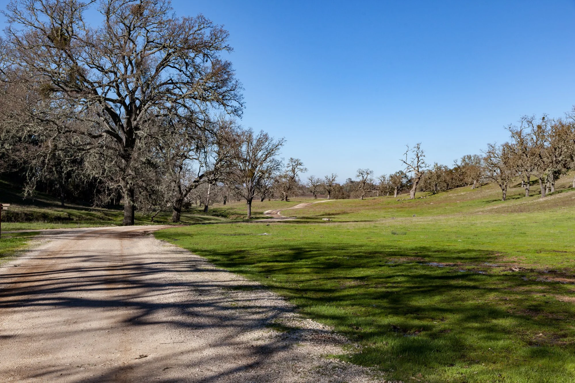 Rnch- Santa Margarita Ranch - 27.jpg