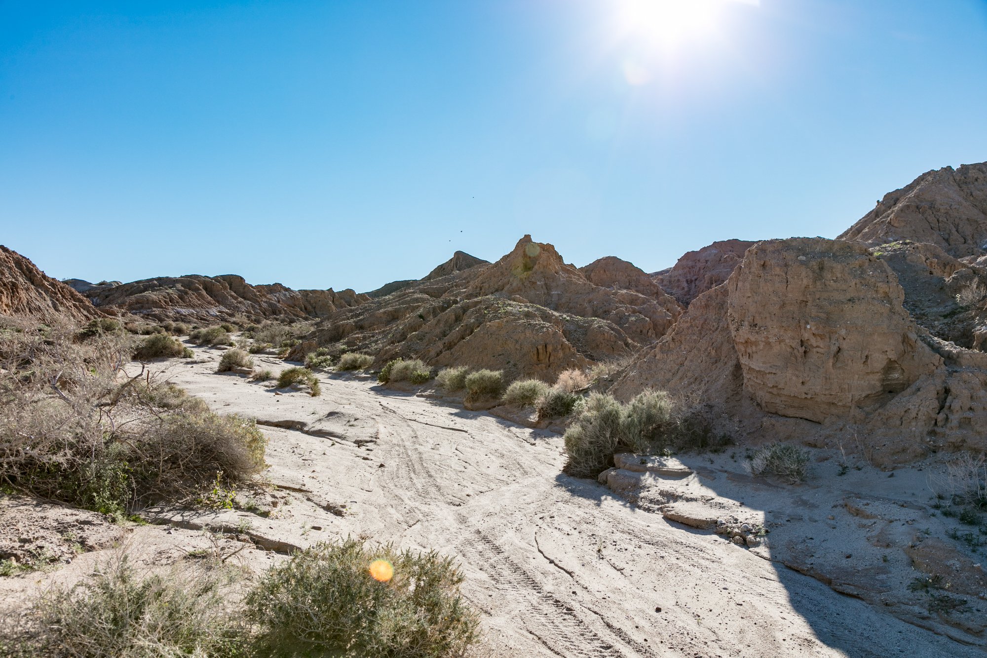 Ntr- Anza Borrego - Badlands - 0219 -20.jpg