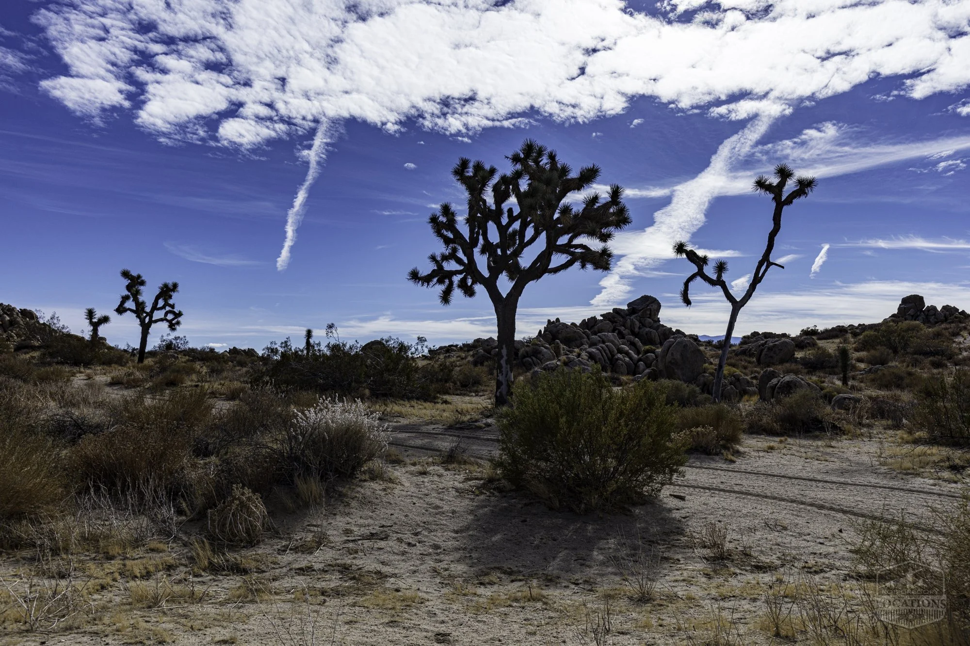 Rocky Buttes - Lancaster - 112424 -022.jpg