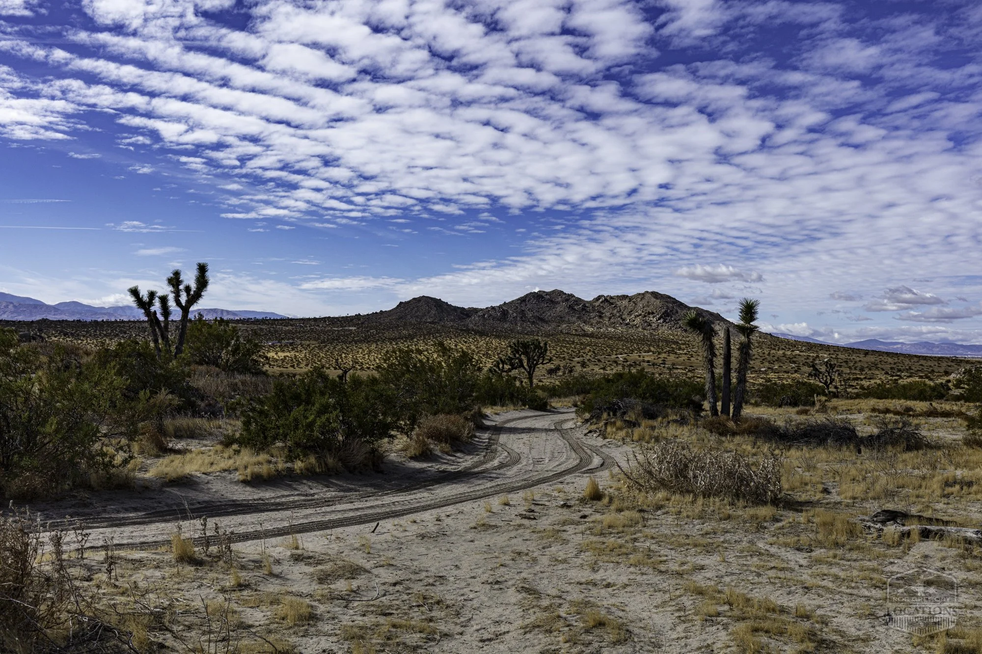 Rocky Buttes - Lancaster - 112424 -018.jpg