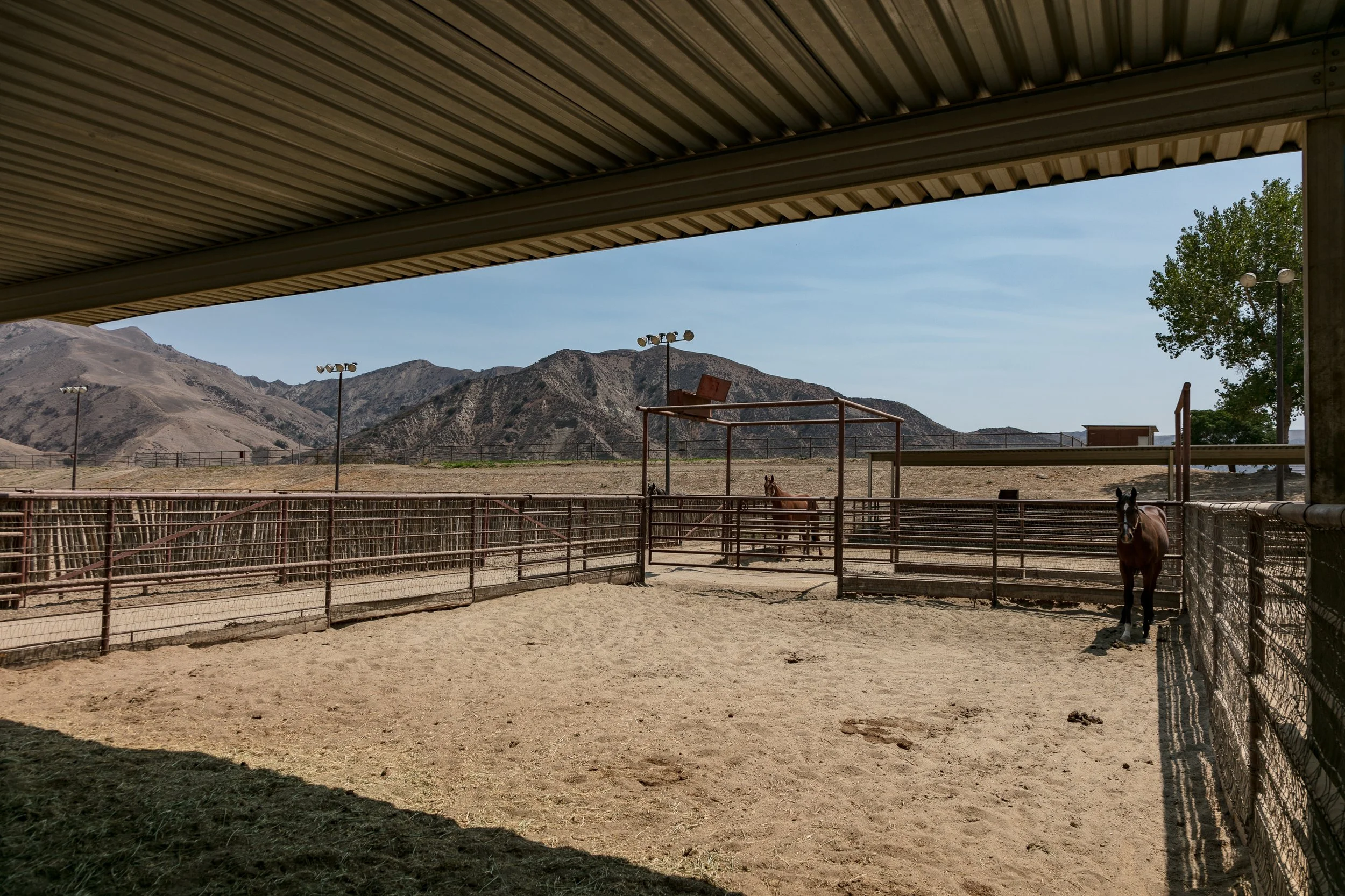 Rancho Temescal - Cattle Ranch - Piru -66.jpg