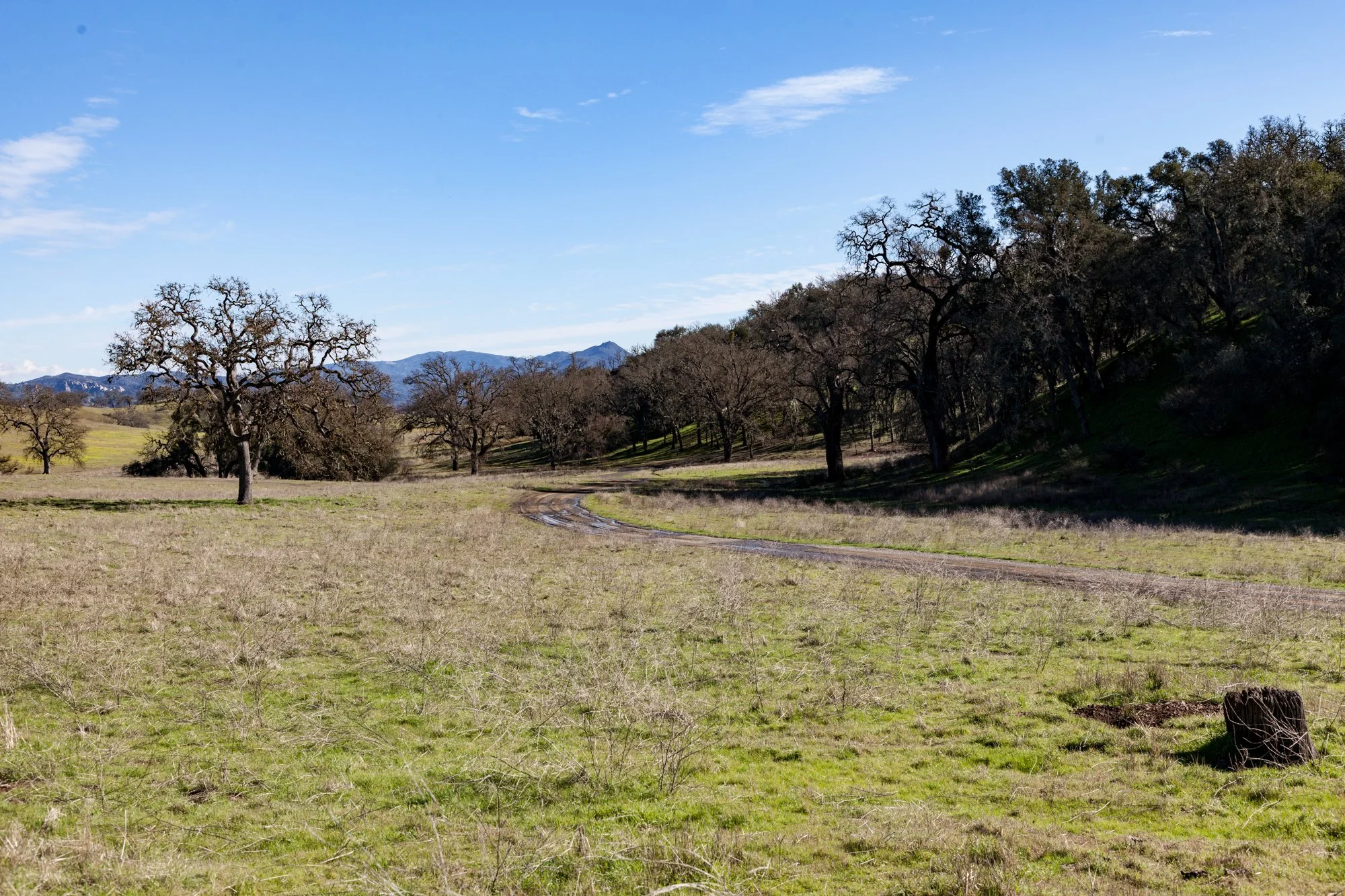 Rnch- Santa Margarita Ranch - 1.jpg