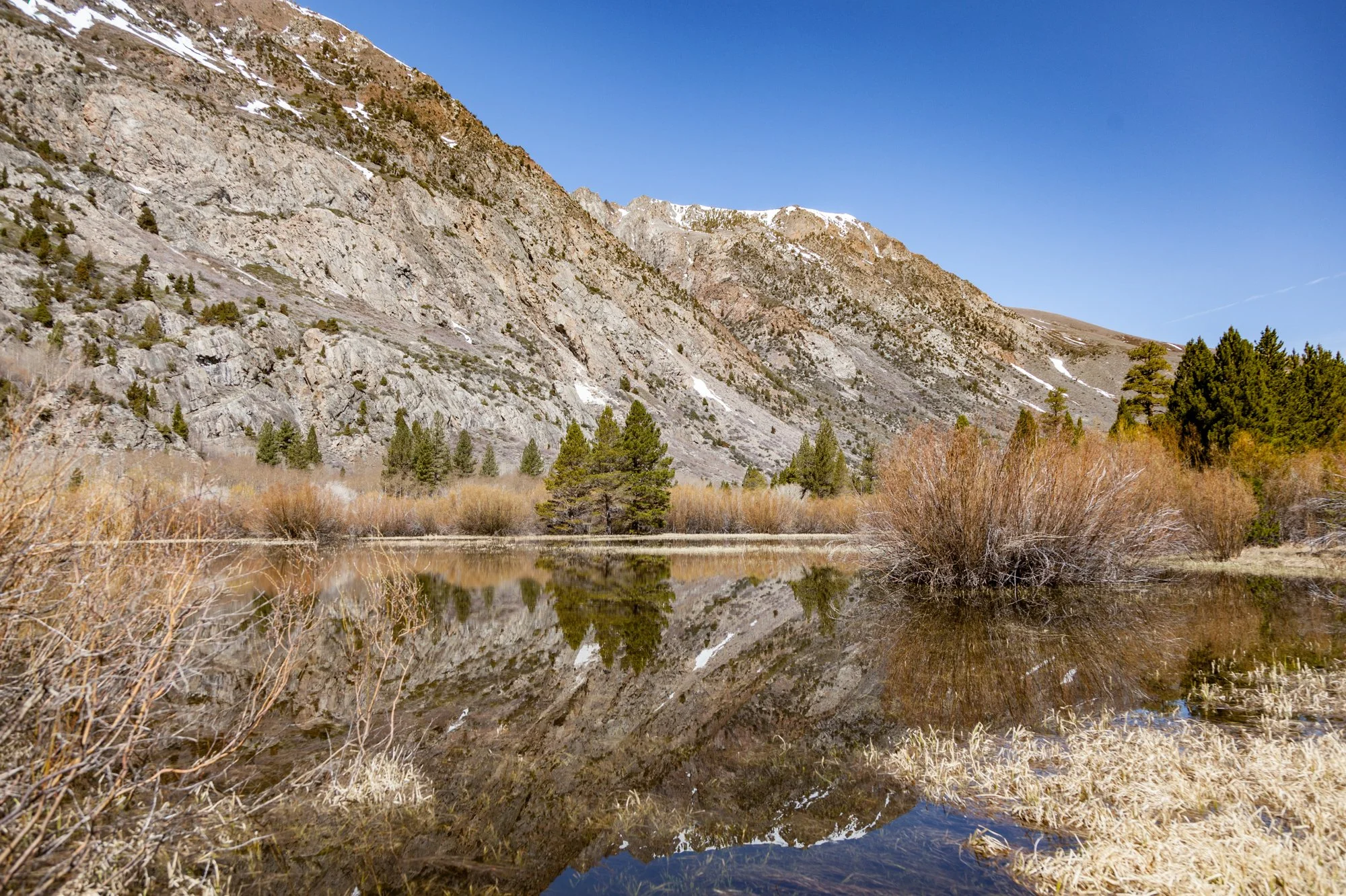 Ntr- Blacks Pond & Meadow - June Lake -11.jpg