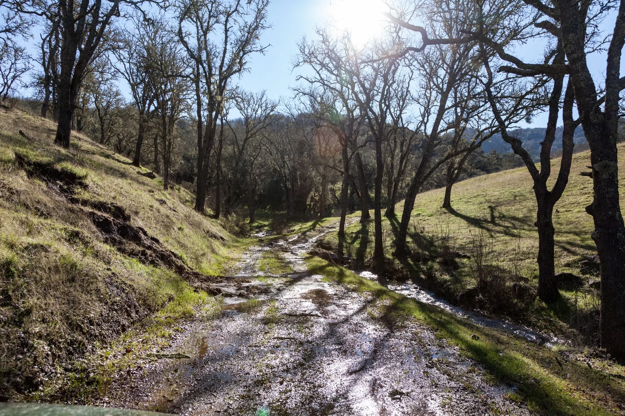 Rnch- Santa Margarita Ranch - 34.jpg