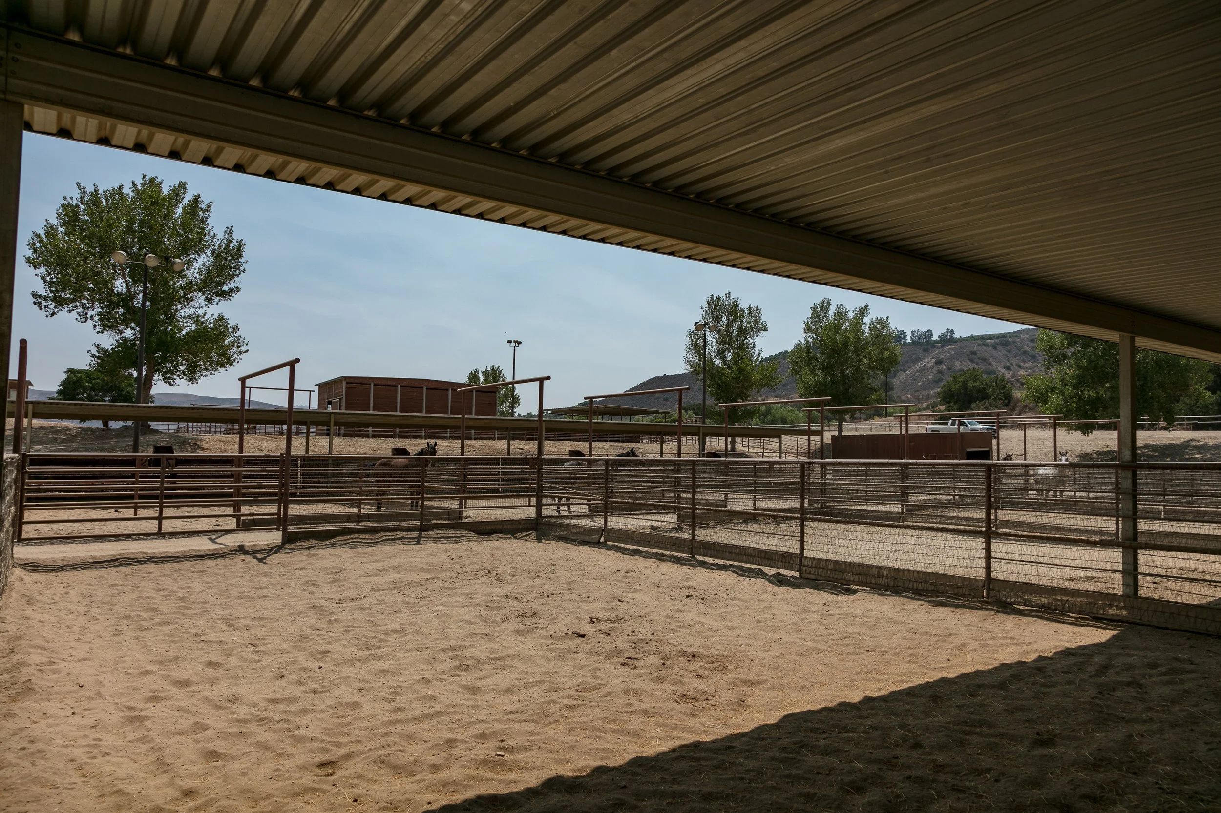 Rancho Temescal - Cattle Ranch - Piru -67.jpg