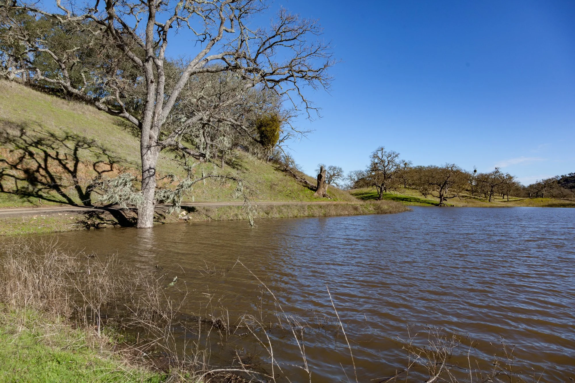 Rnch- Santa Margarita Ranch - 13.jpg