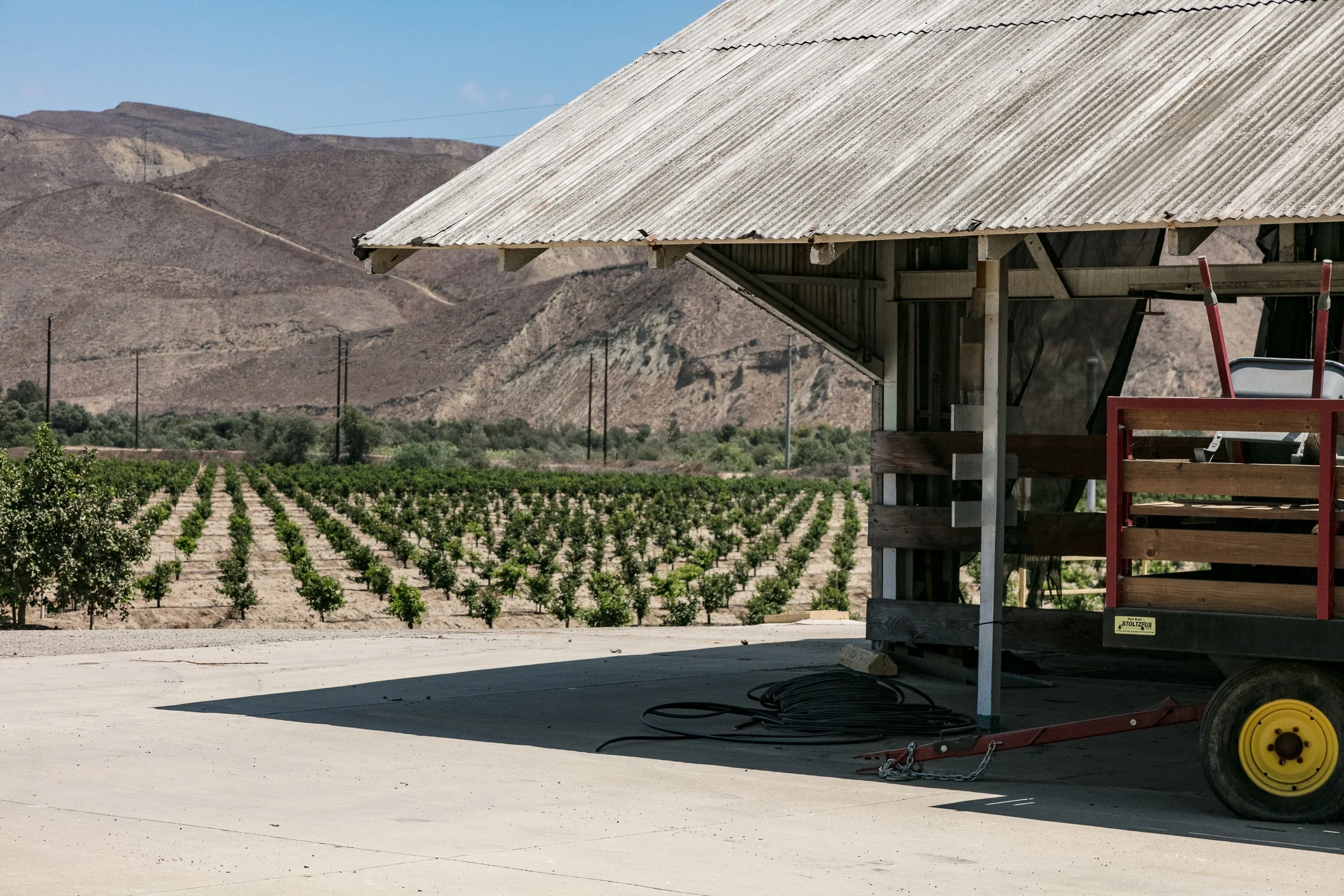 Limoneira Farms - Santa Paula -73.jpg