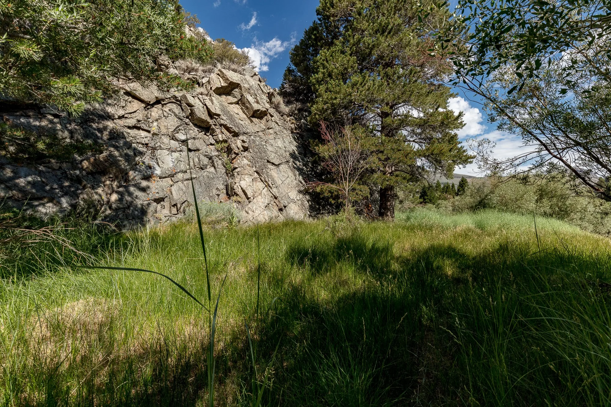 Blacks Pond - Meadow & Rock Outcrop - June Lake -14.jpg