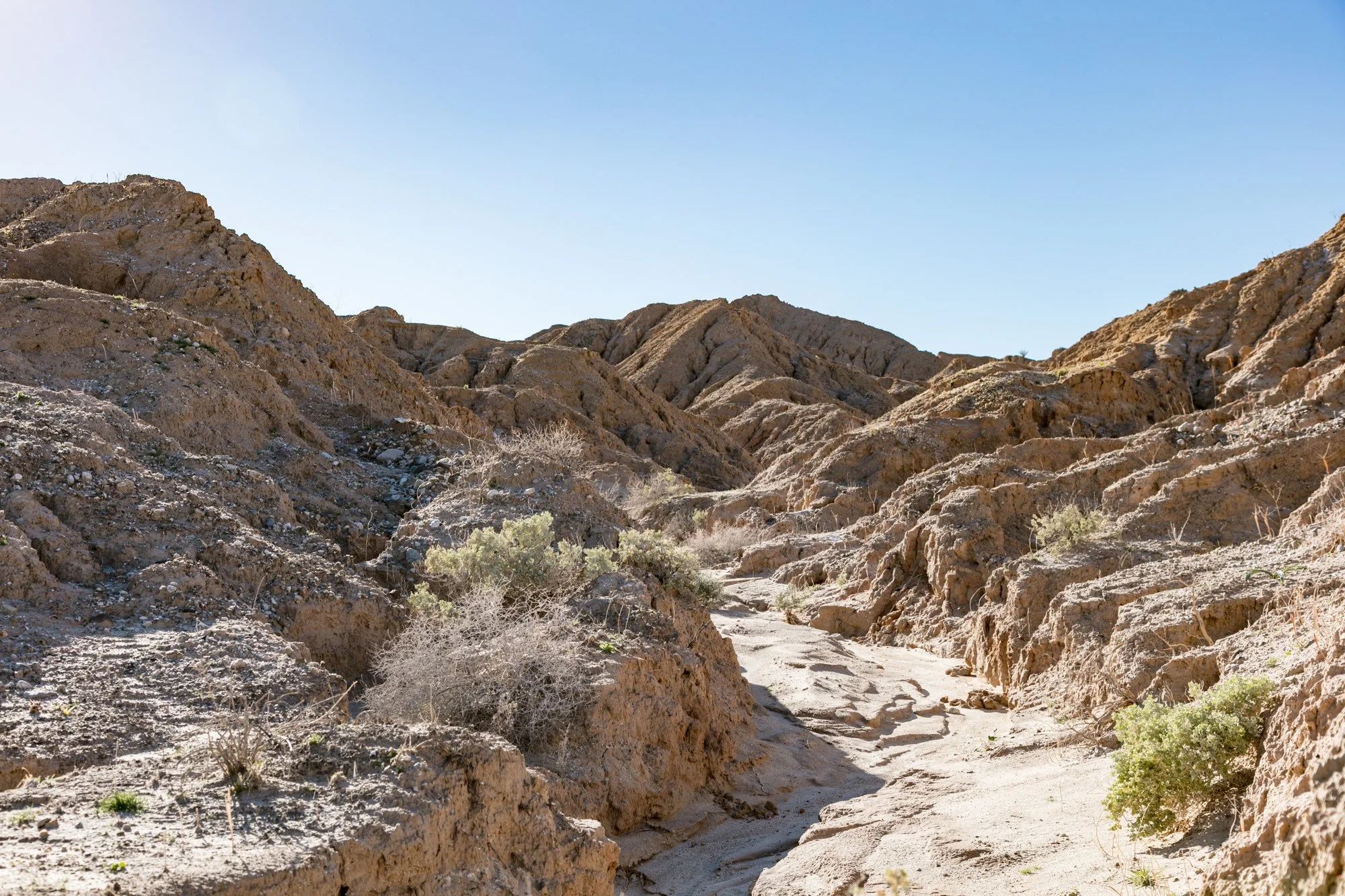 Ntr- Anza Borrego - Badlands - 0219 -24.jpg