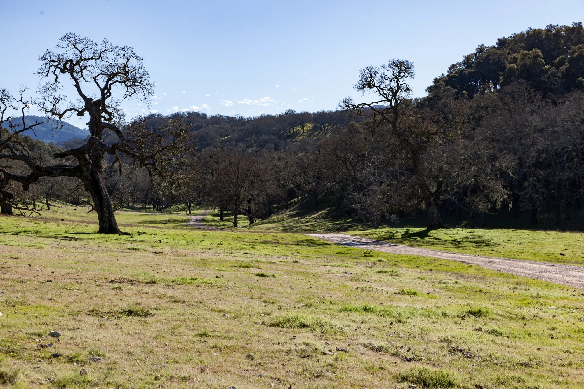 Rnch- Santa Margarita Ranch - 20.jpg