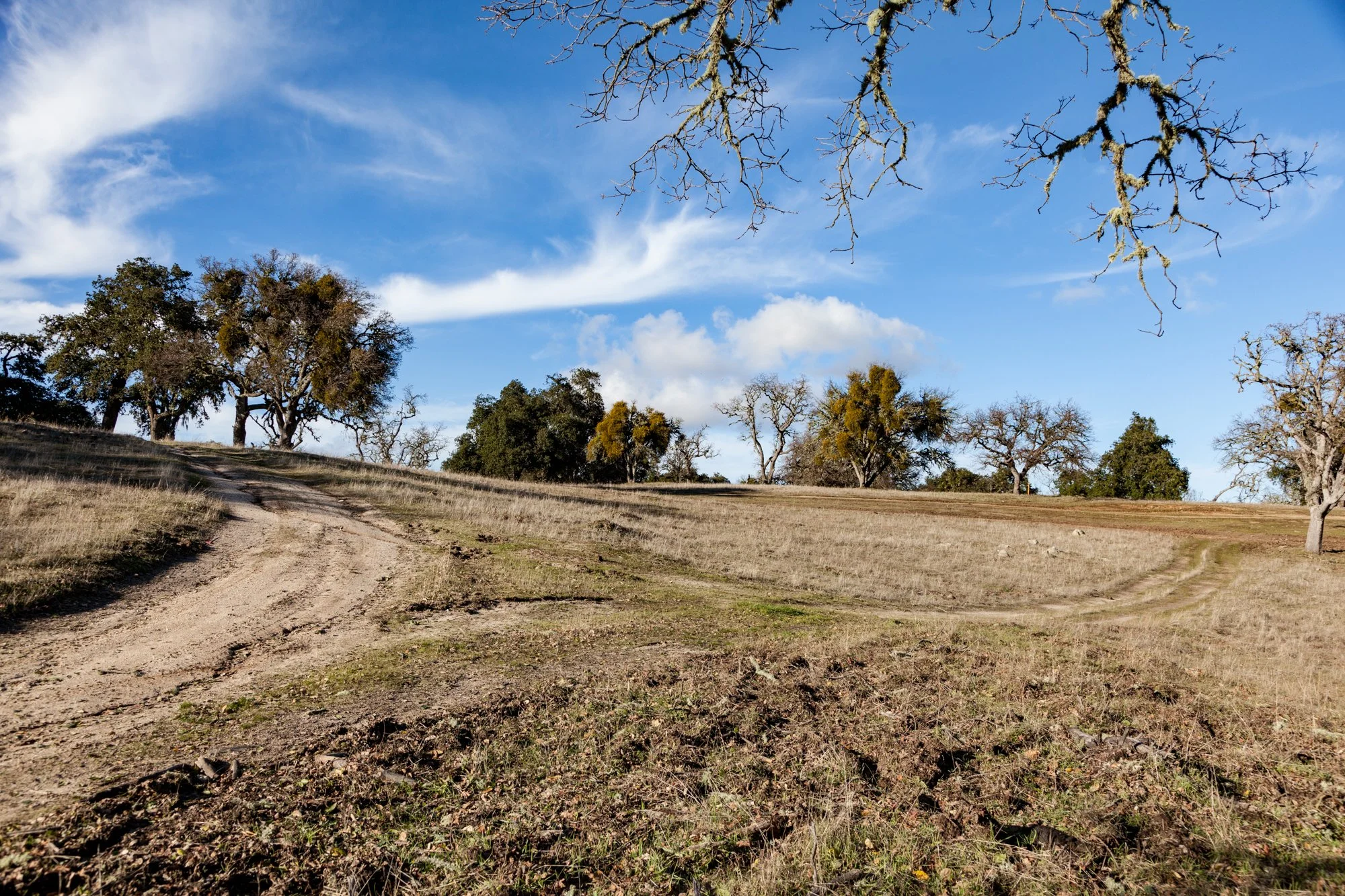 Rnch- Galante Ranch & Vineyards - Carmel Valley - 26.jpg