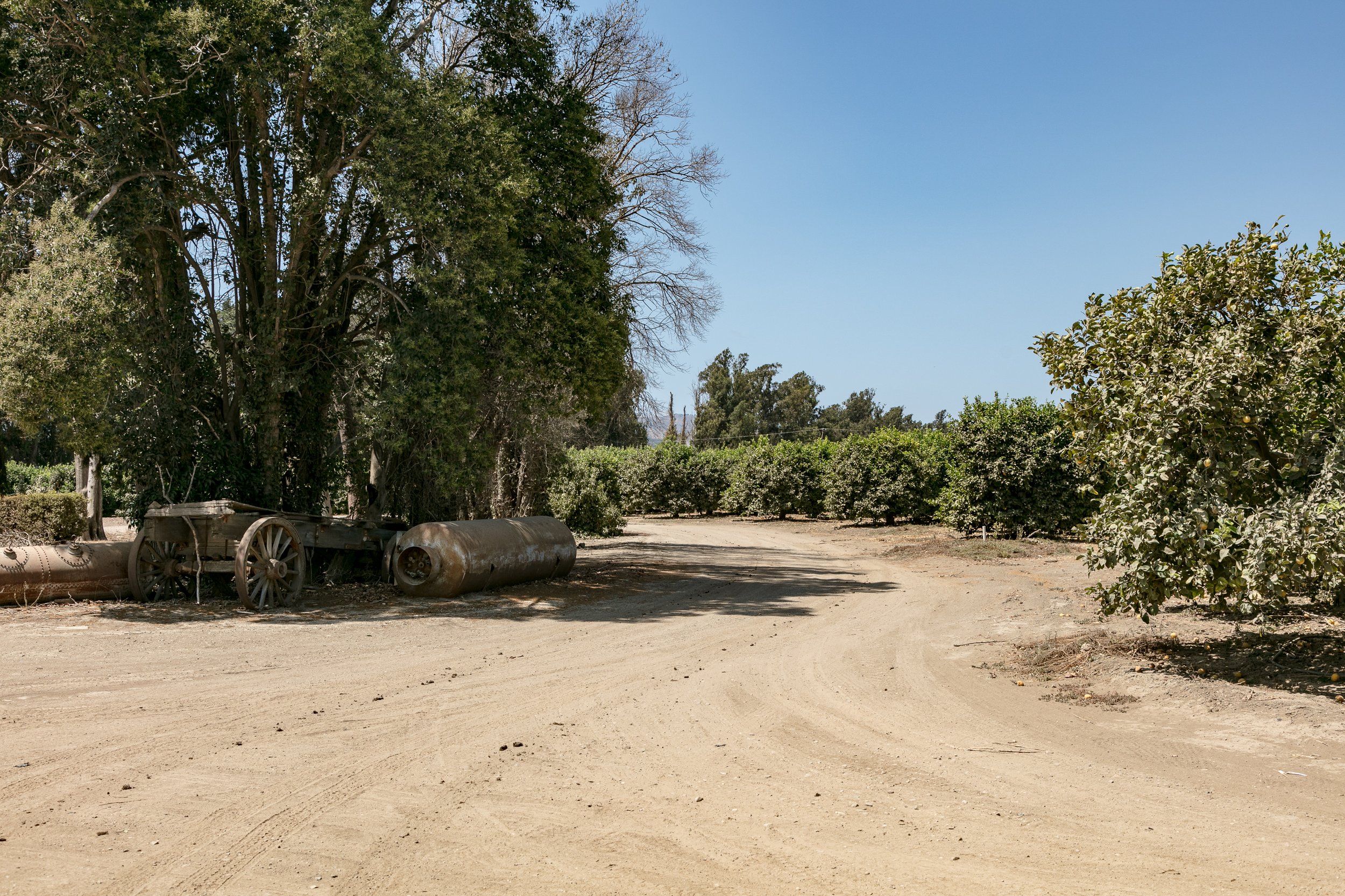 Limoneira Farms - Santa Paula -83.jpg
