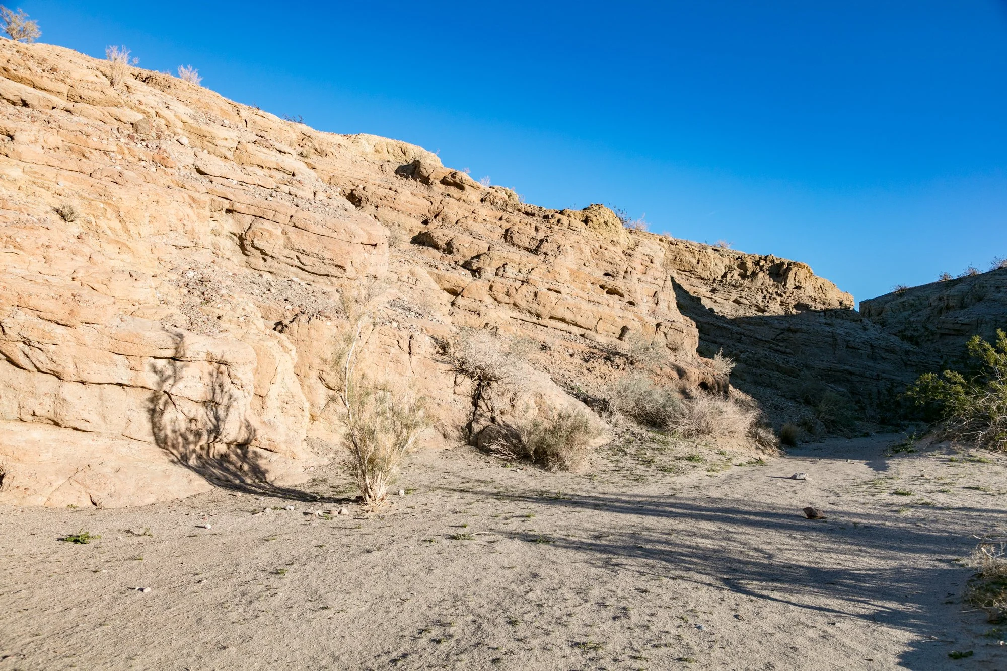 Ntr- Anza Borrego - Badlands - 0219 -73.jpg