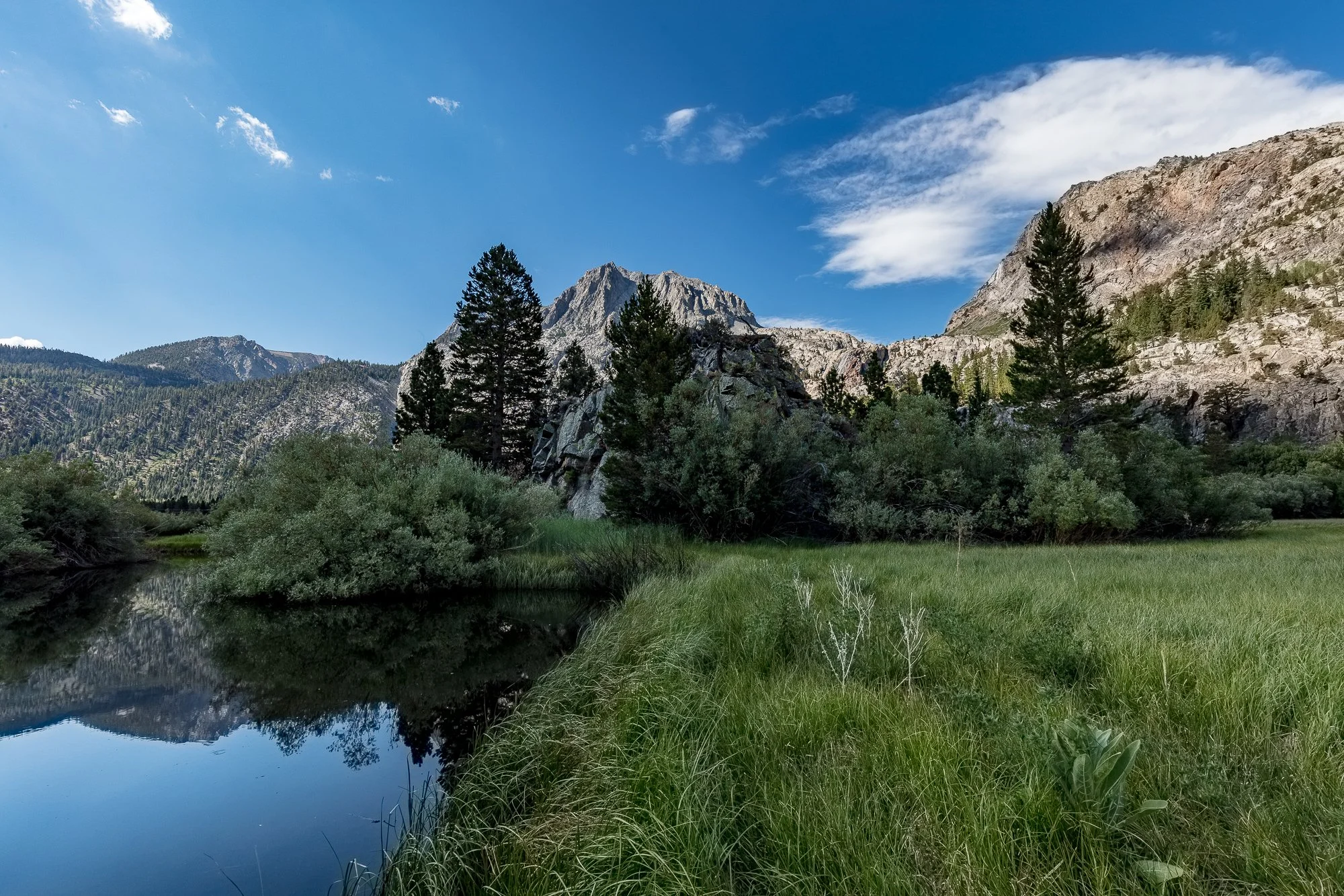Blacks Pond - Meadow & Rock Outcrop - June Lake -20.jpg