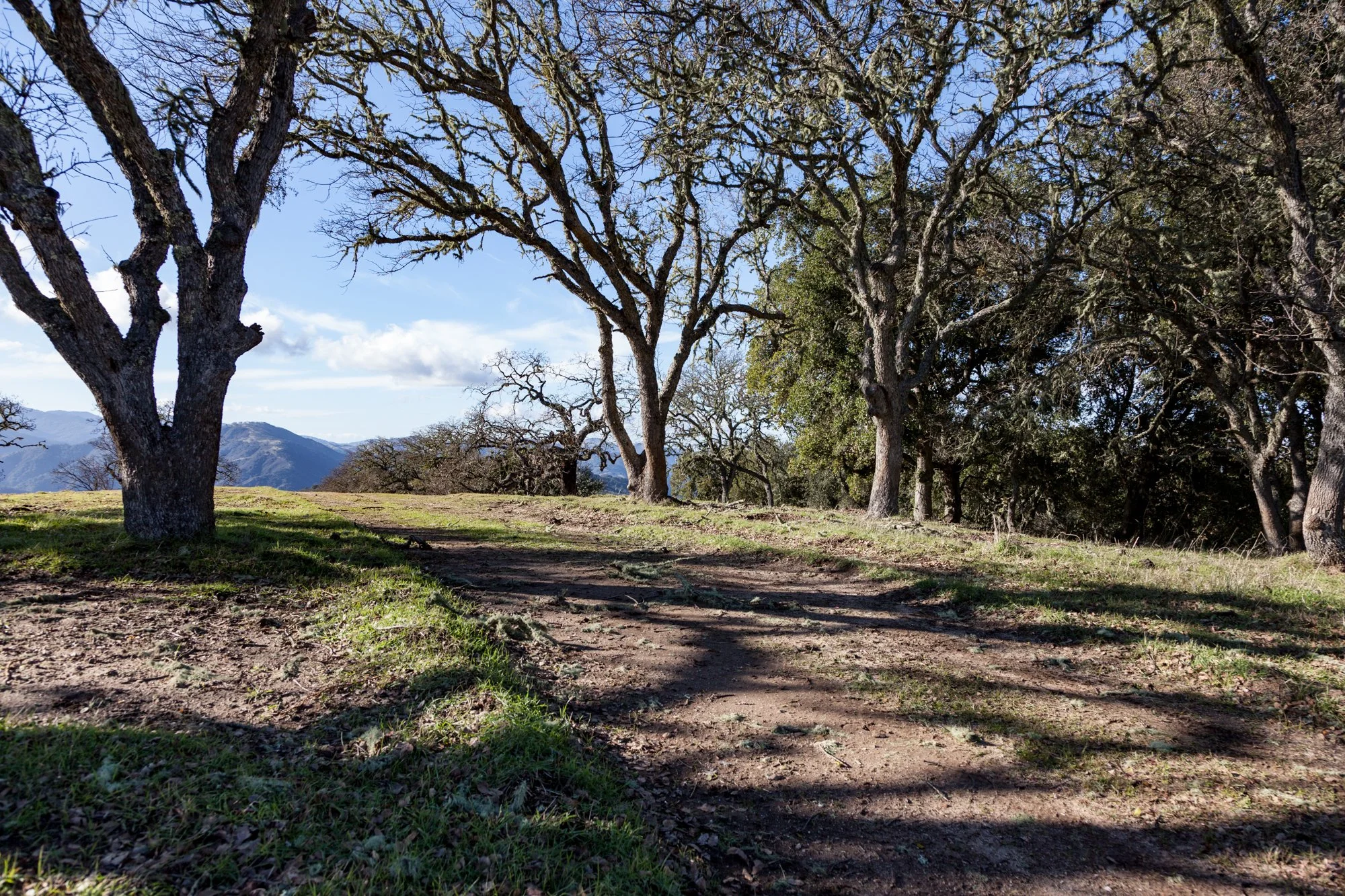 Rnch- Galante Ranch & Vineyards - Carmel Valley - 10.jpg