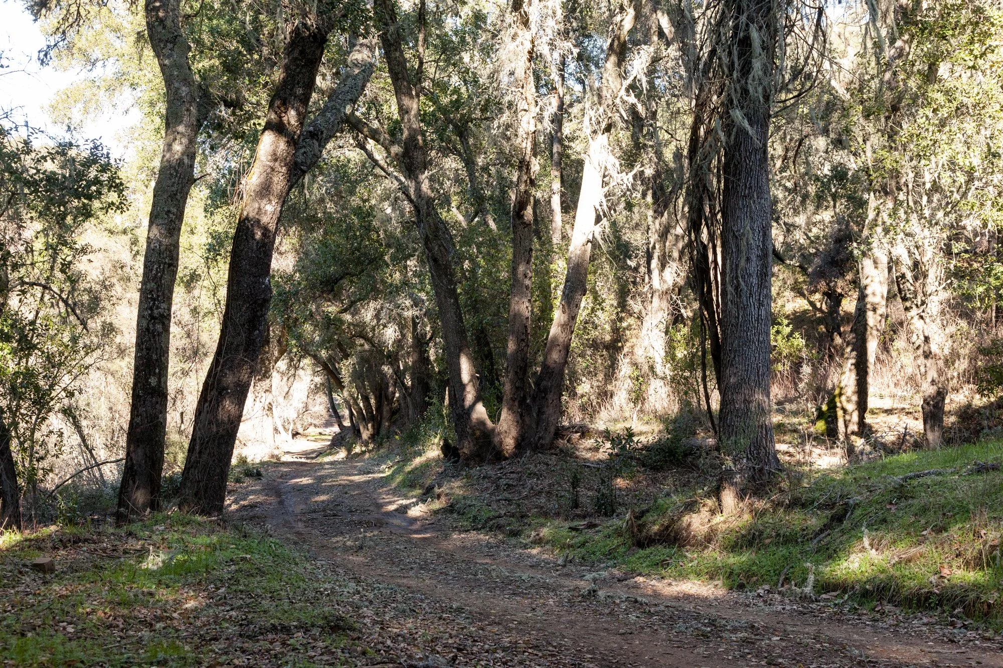 Rnch- Santa Margarita Ranch - 60.jpg