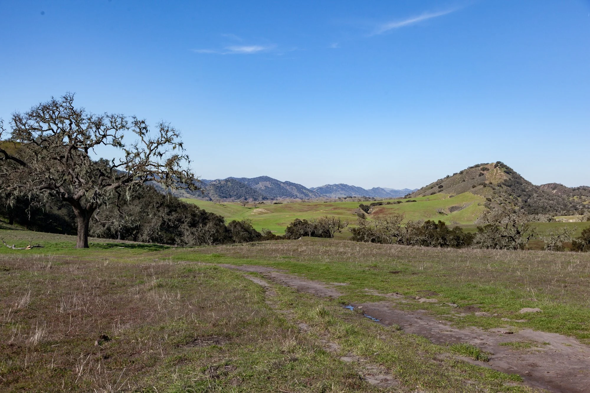 Rnch- Porter Ranch - Santa Maria - 64.jpg