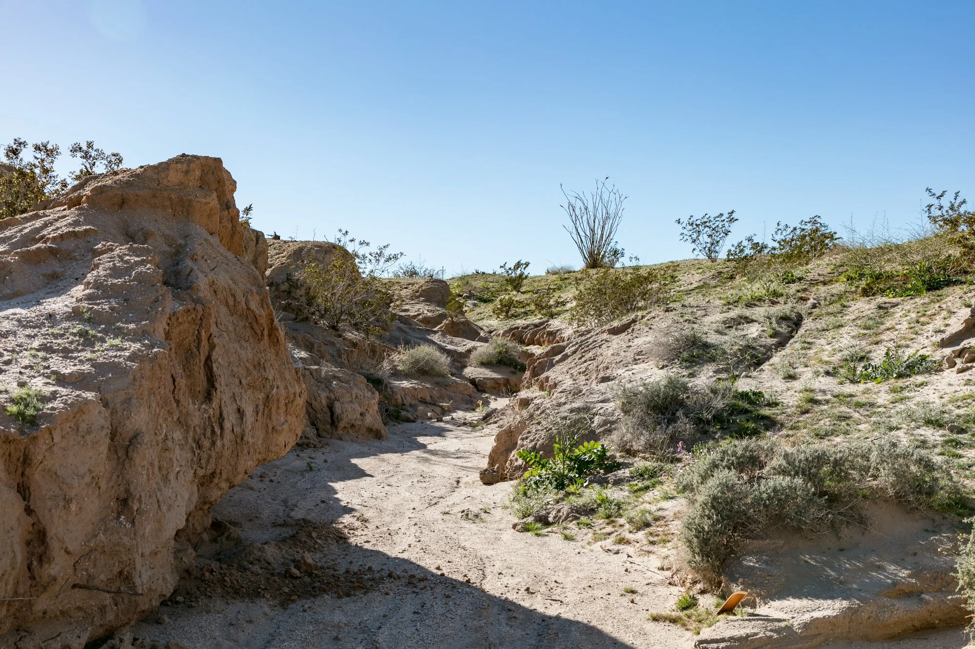 Ntr- Anza Borrego - Badlands - 0219 -8.jpg