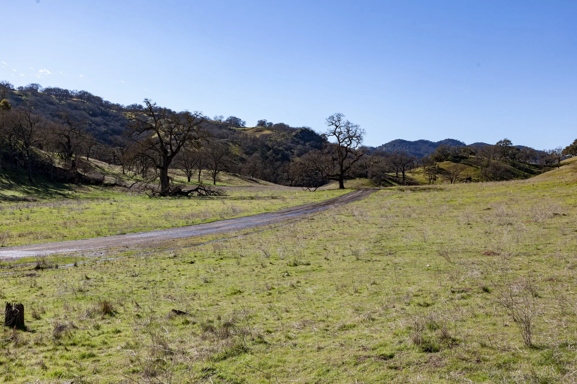 Rnch- Santa Margarita Ranch - 2.jpg