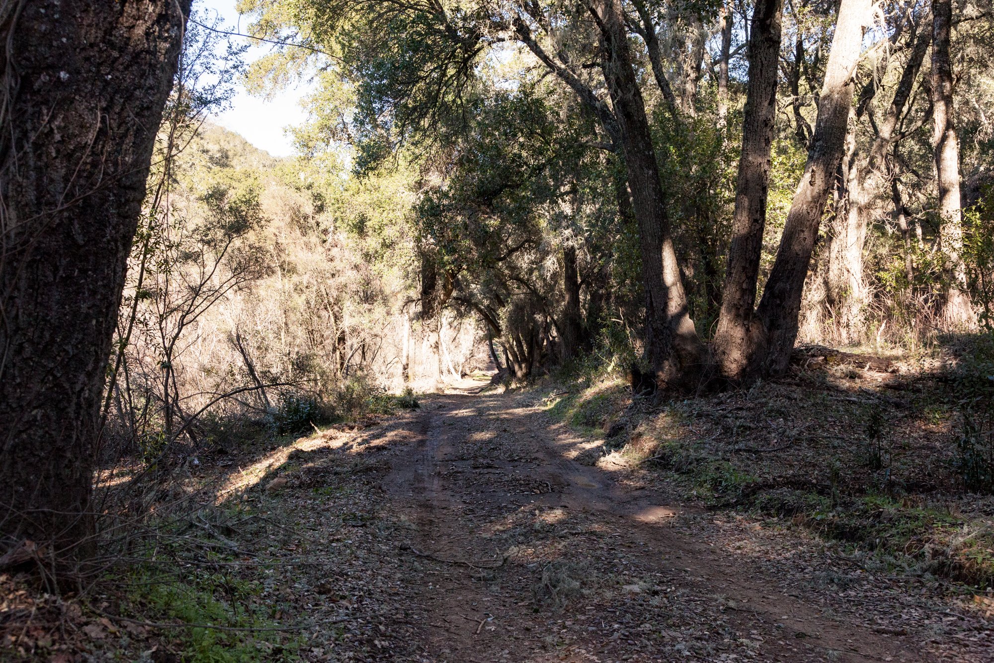 Rnch- Santa Margarita Ranch - 63.jpg